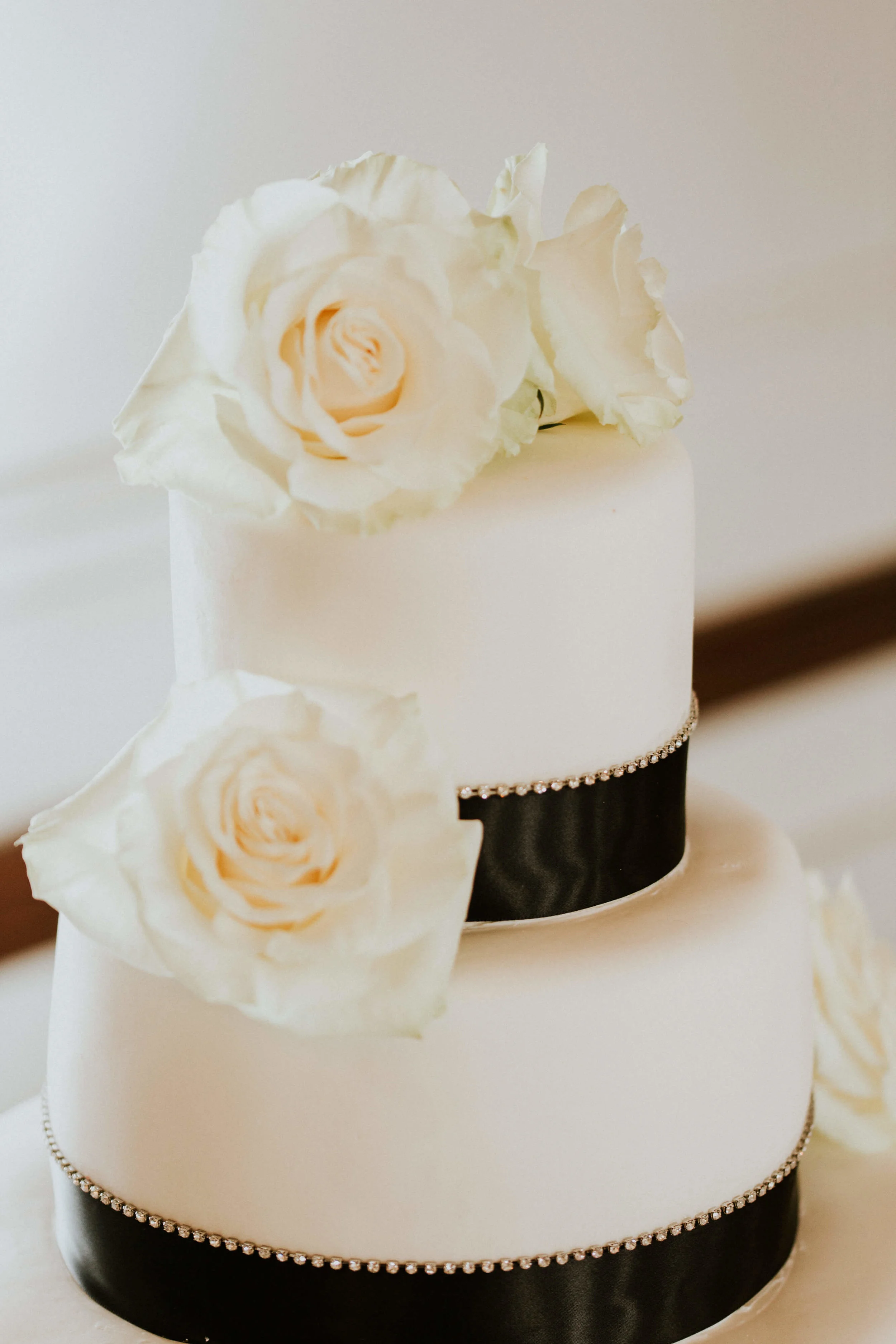 Adore Wedding Photography-19809.jpg