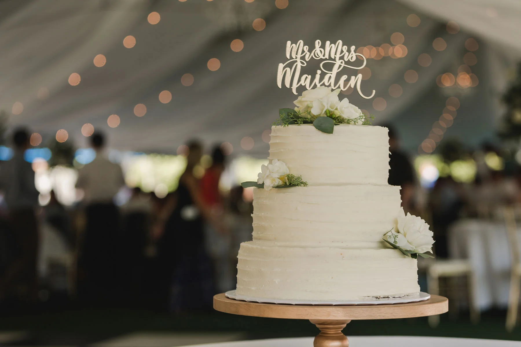 MeredithBrandon-W-535.jpg