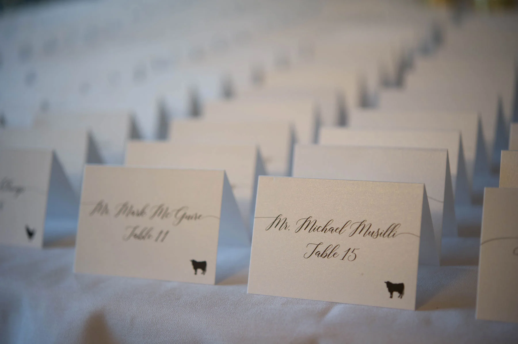 Cooper-wedding-(549).jpg