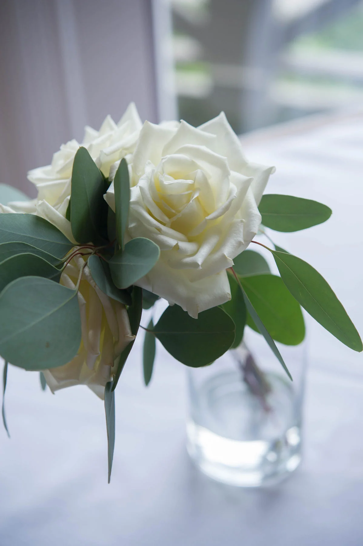 Cooper-wedding-(555).jpg