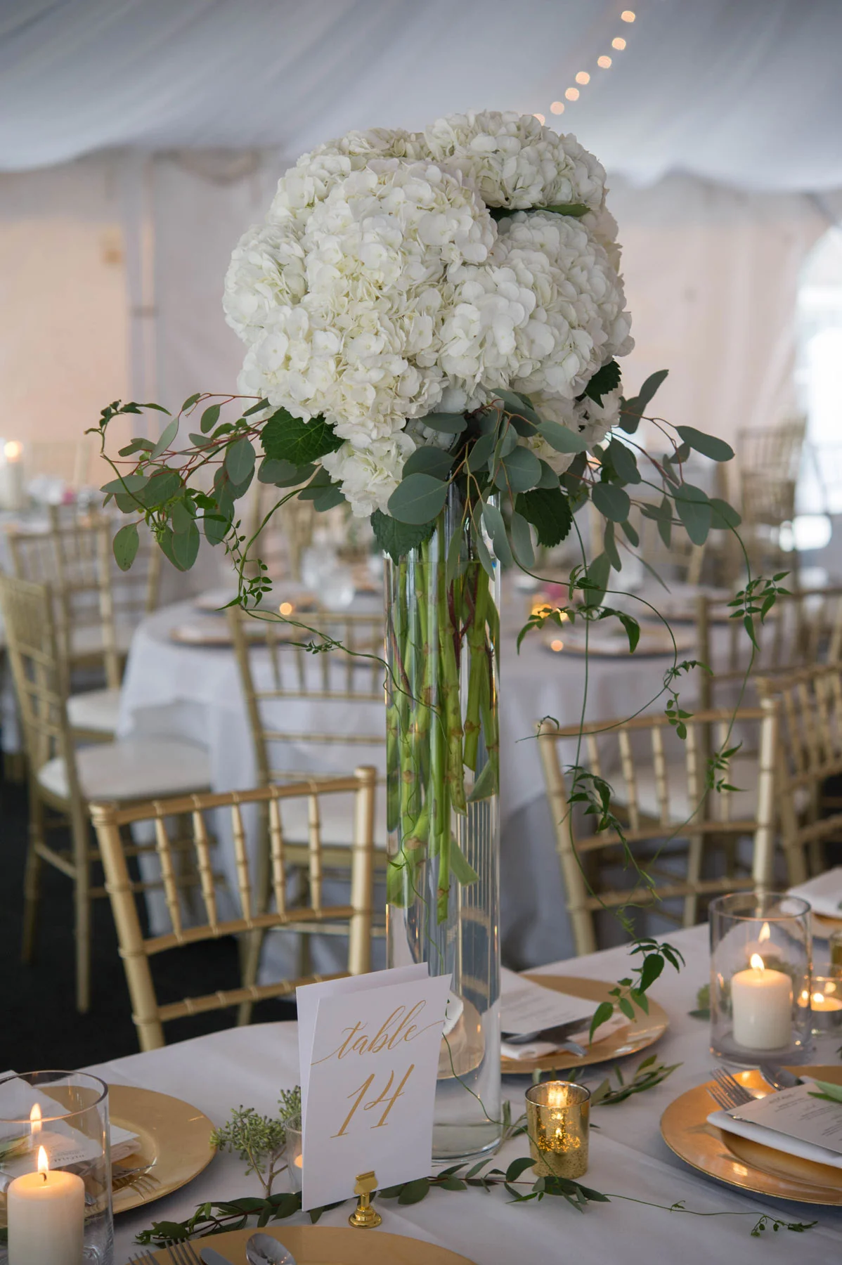 Cooper-wedding-(572).jpg