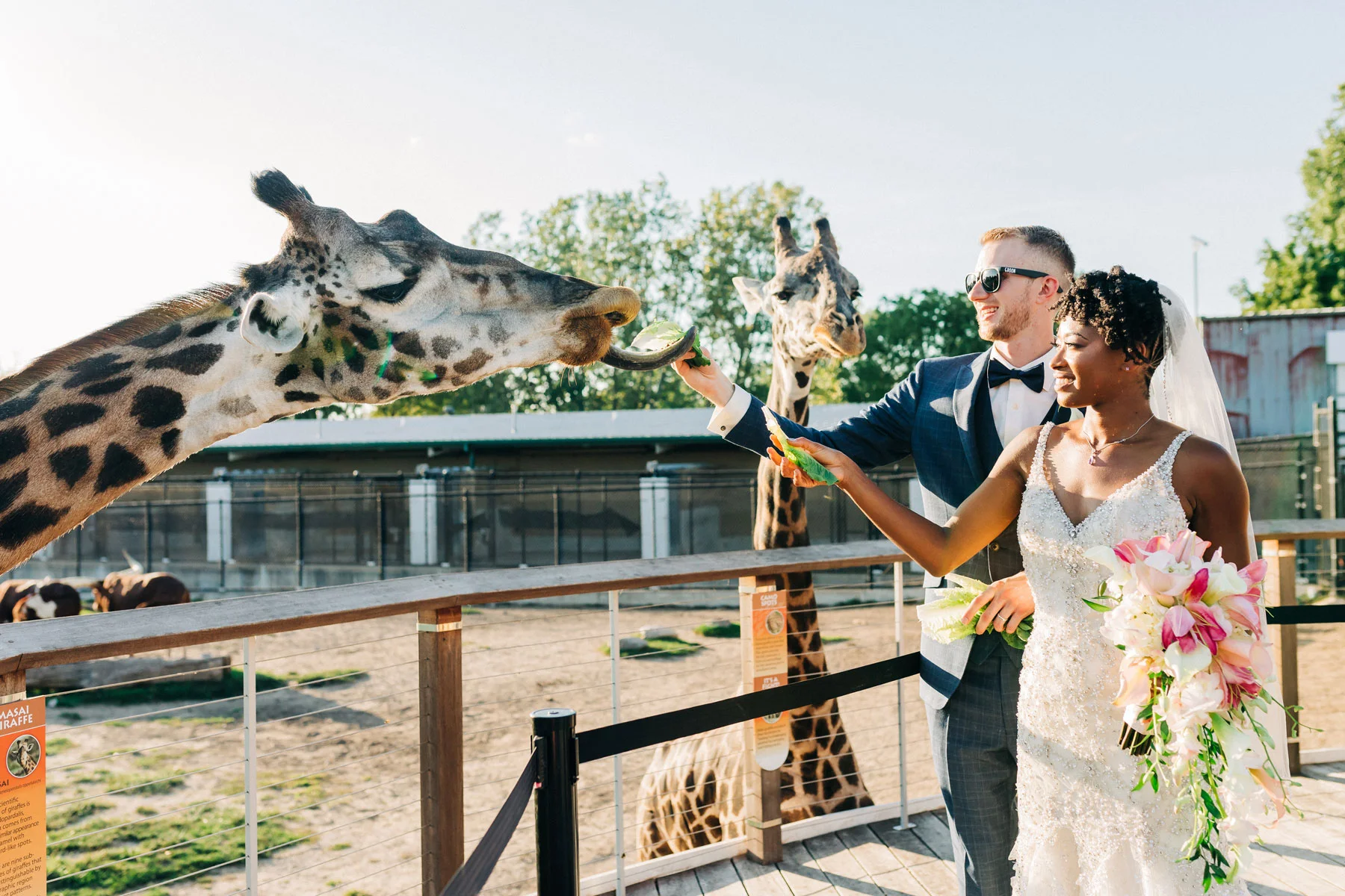 NikkiKPhotography-63.jpg