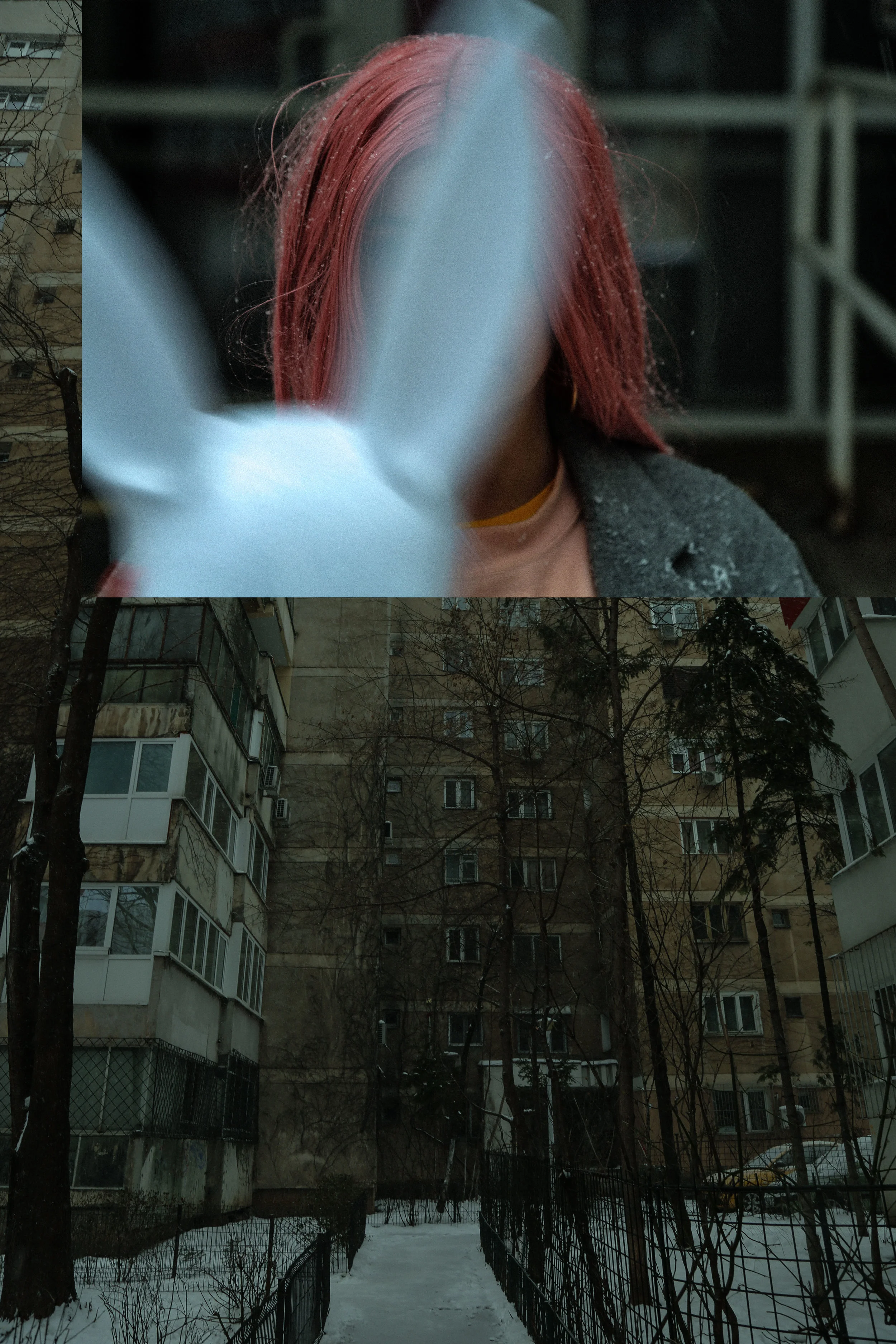 alexandraroman.jpeg