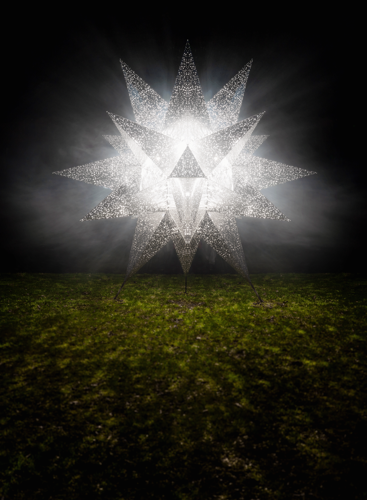   Nova - Kew Gardens, UK  