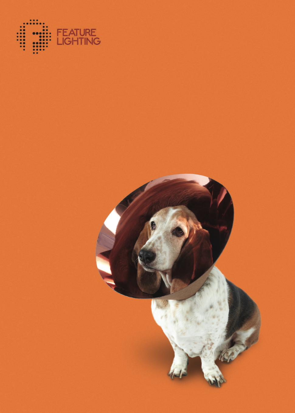 Buster - Cone of Shame lampshade