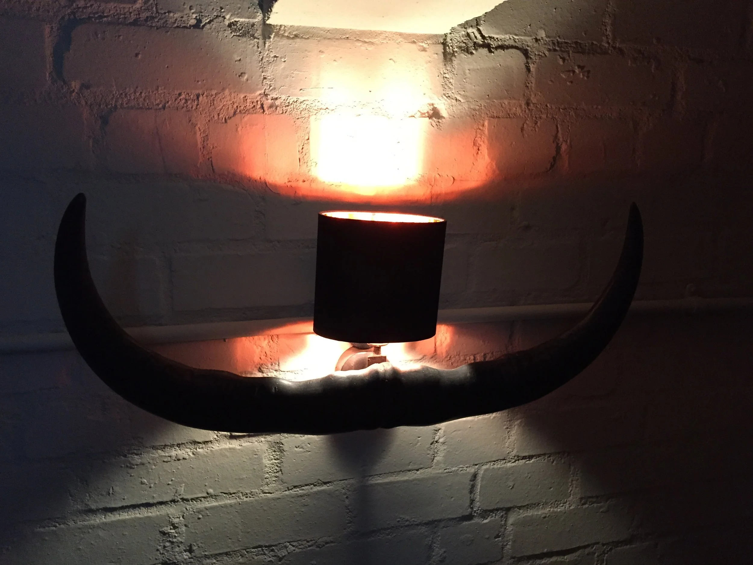 Cool bull horn lamp shade