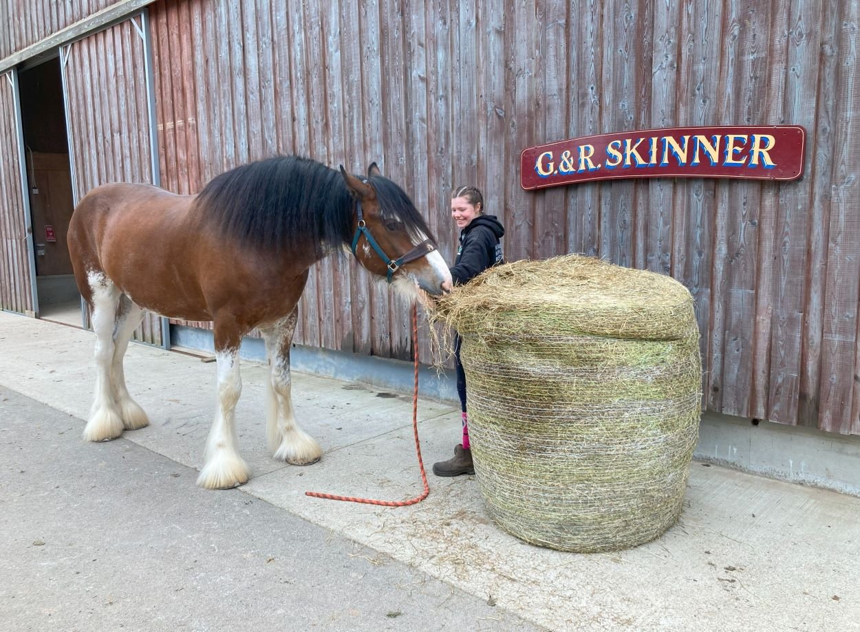 The Ultimate Guide To Horse Feed Types Strathorn the-ultimate-guide-to-horse-feed-types-strathorn