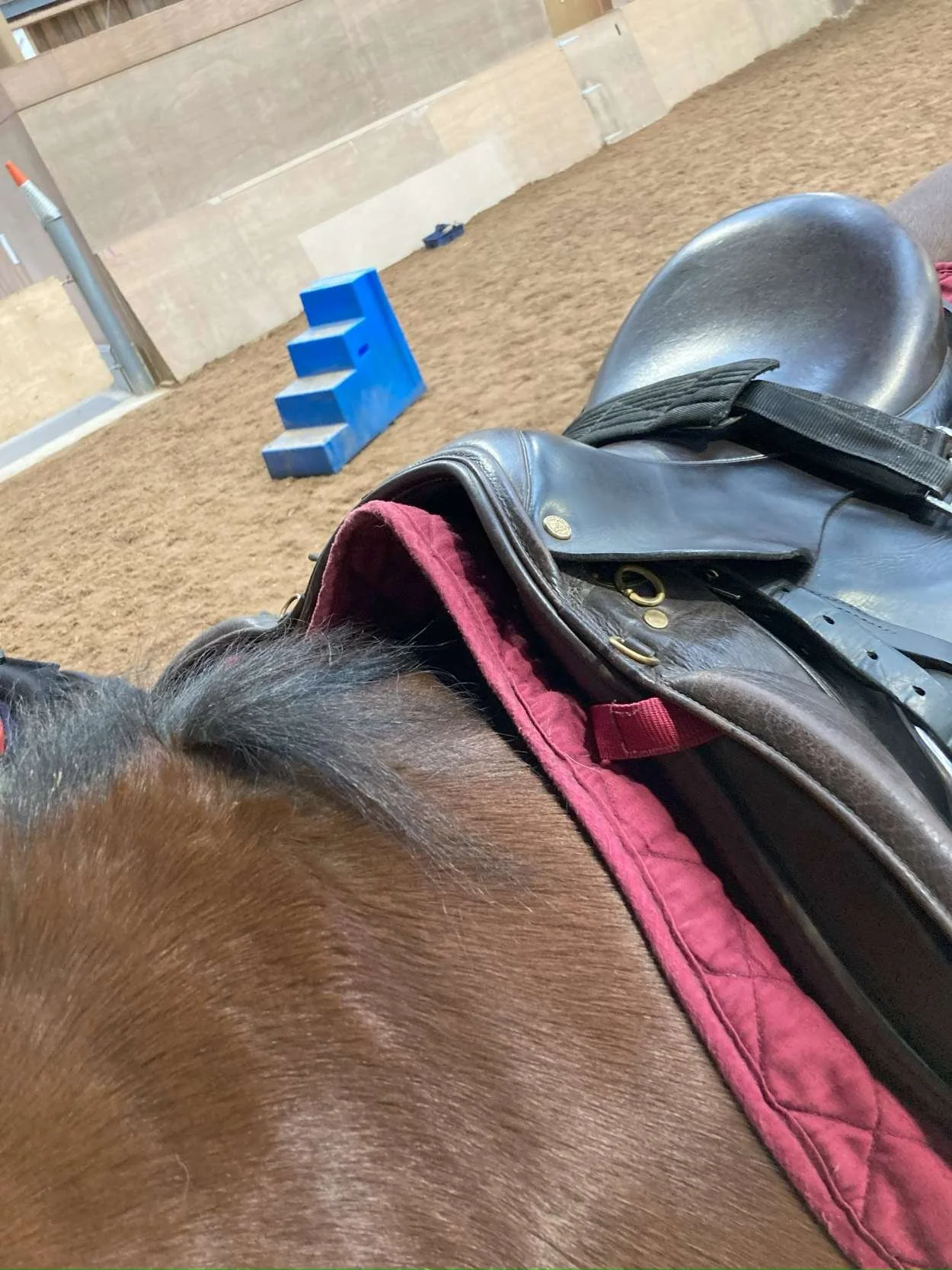 How To Tack Up A Horse — Strathorn