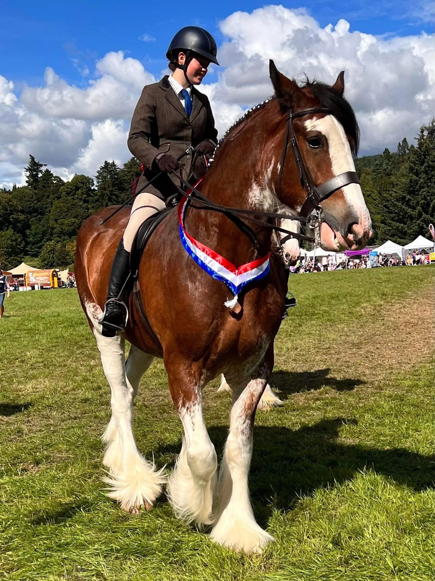 Clydesdale FAQs — Strathorn