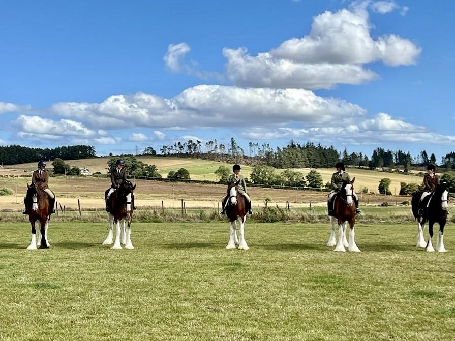 Can You Ride A Clydesdale Horse? — Strathorn