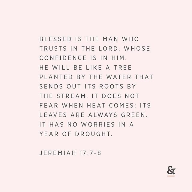 But blessed is the one who trusts in the Lord, whose confidence is in him. They will be like a tree planted by the water that sends out its roots by the stream. It does not fear when heat comes; its leaves are always green. It has no worries in a yea
