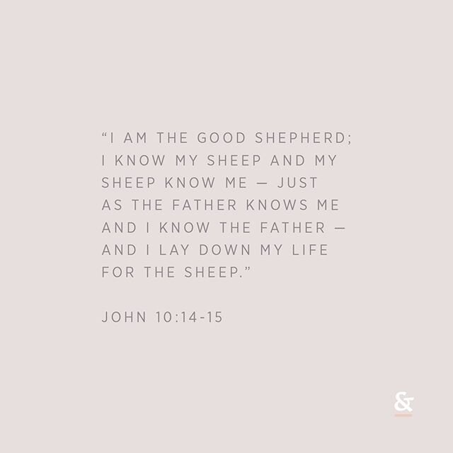 I am the good shepherd; I know my sheep and my sheep know me - just as the Father knows me and I know the Father - and I lay down my life for the sheep. - John‬ ‭10:14-15‬