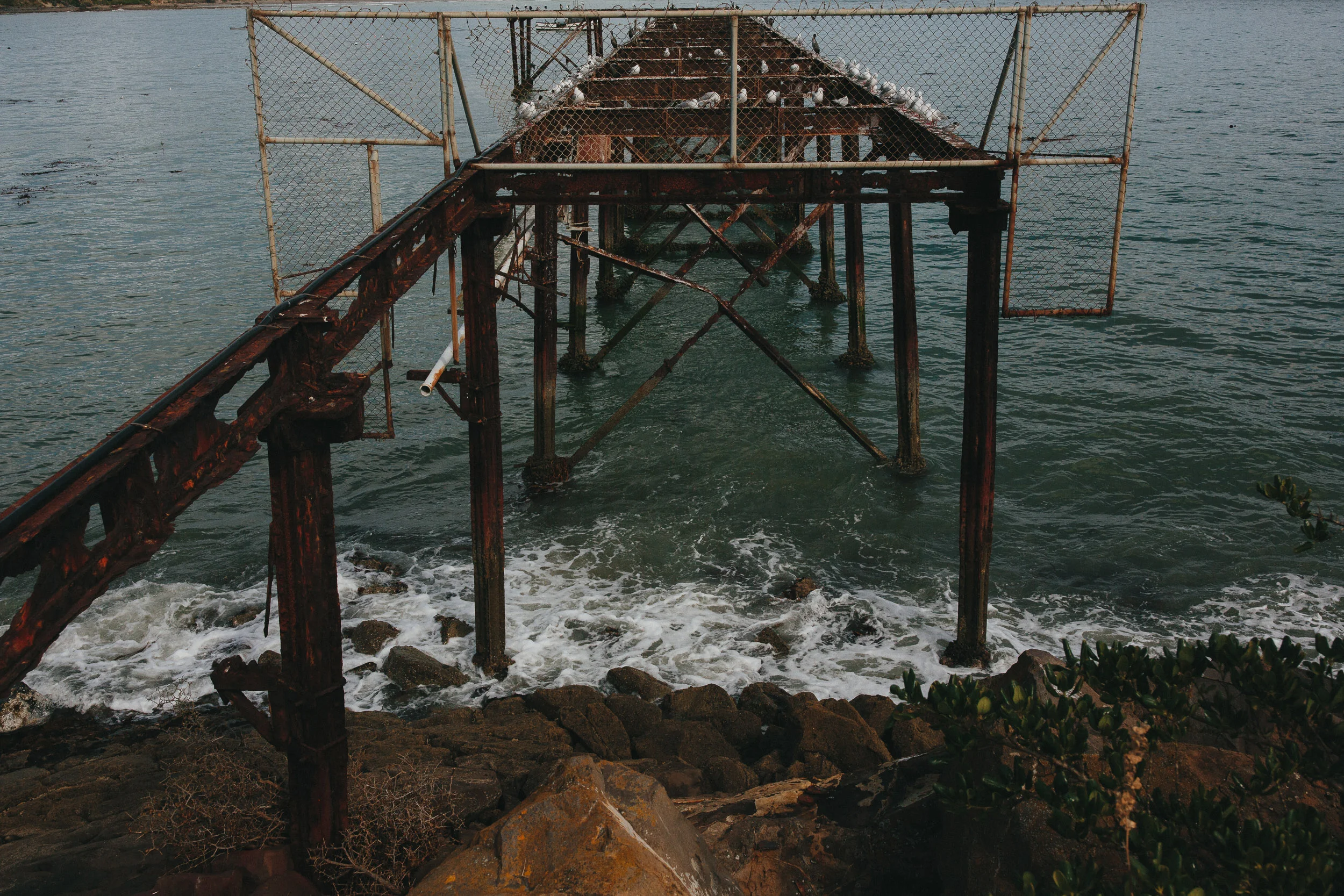 Moeraki-3.jpg