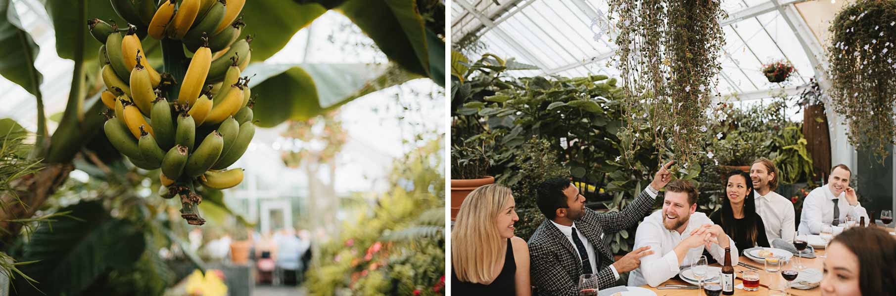 Tropical Wedding Wellington.jpg