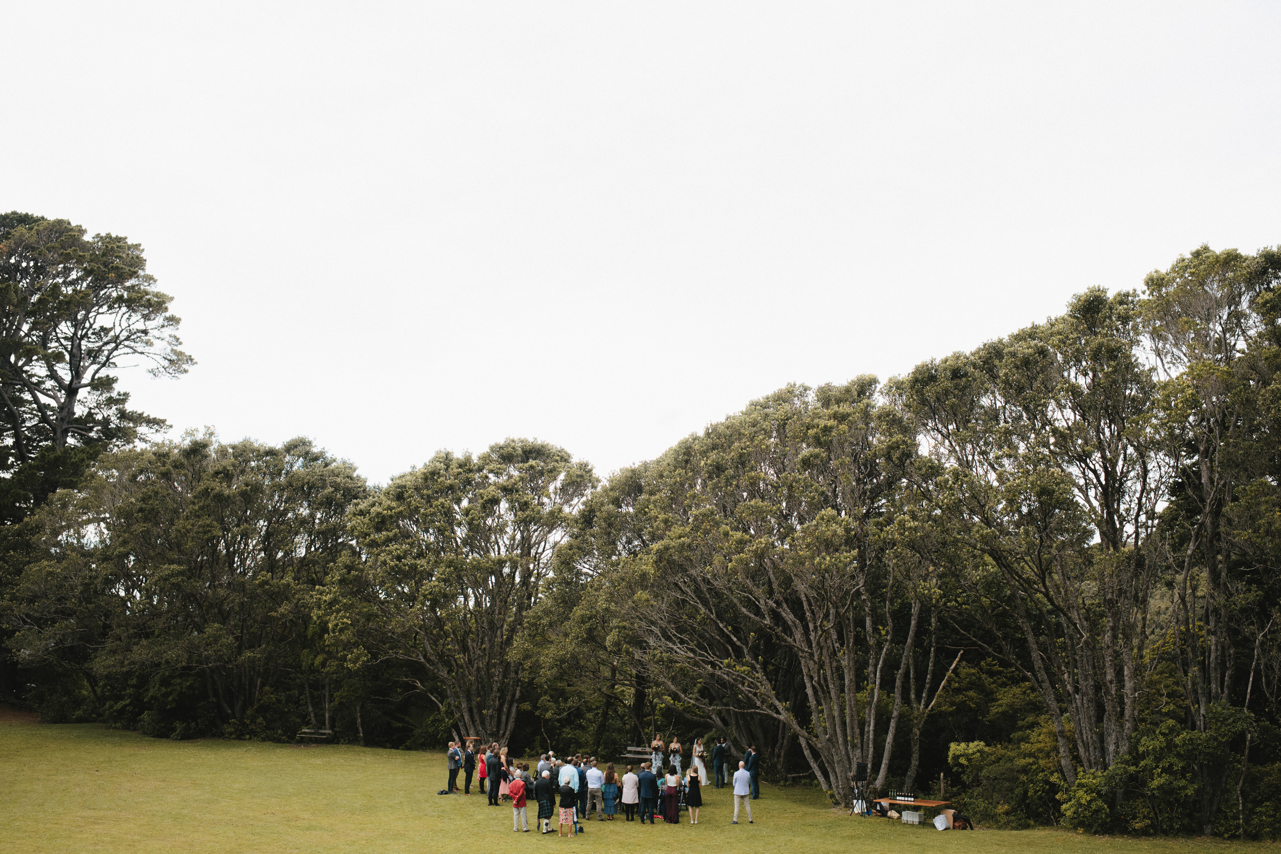 Wellington Botanical Garden Ceremony-2.jpg
