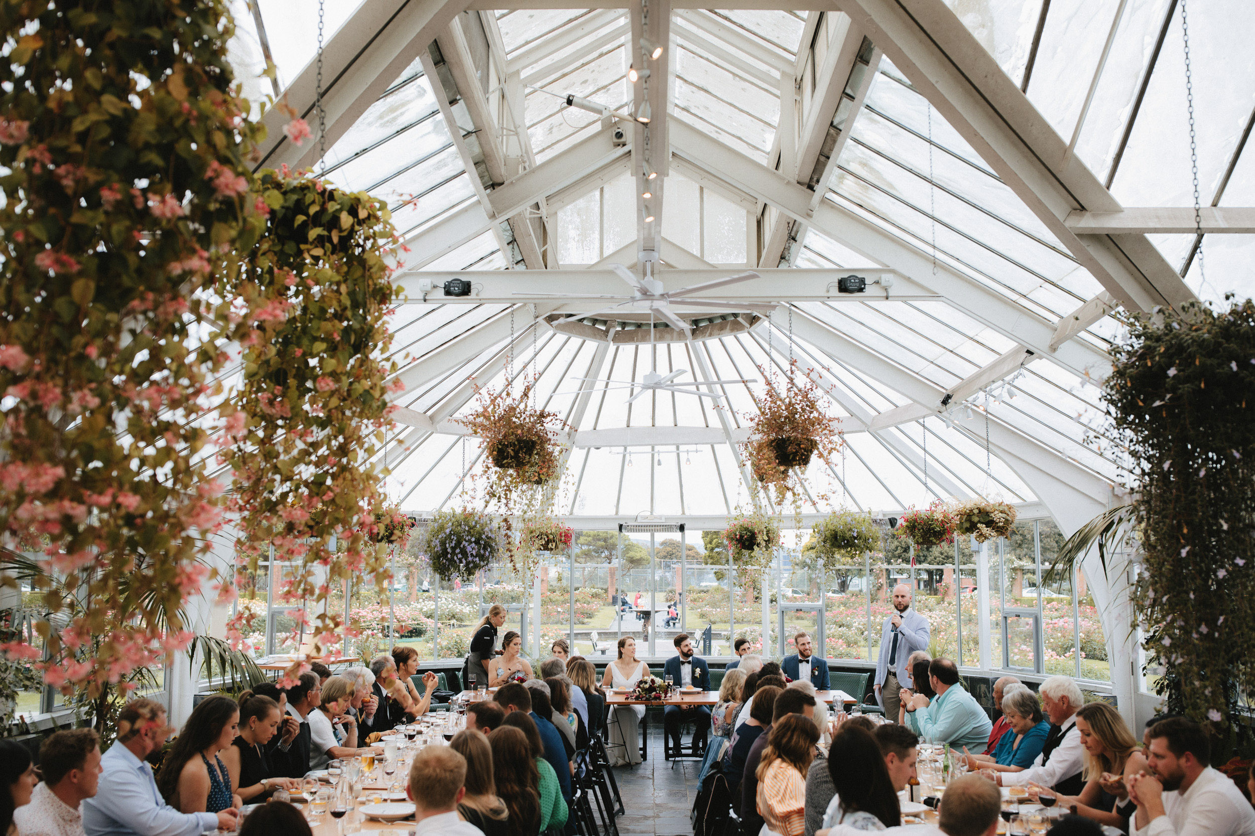 Wellington Botanic Garden Wedding.jpg