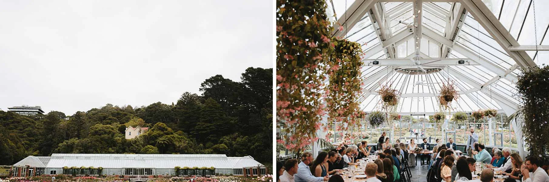 Wellington Botanical Garden Winter Wedding