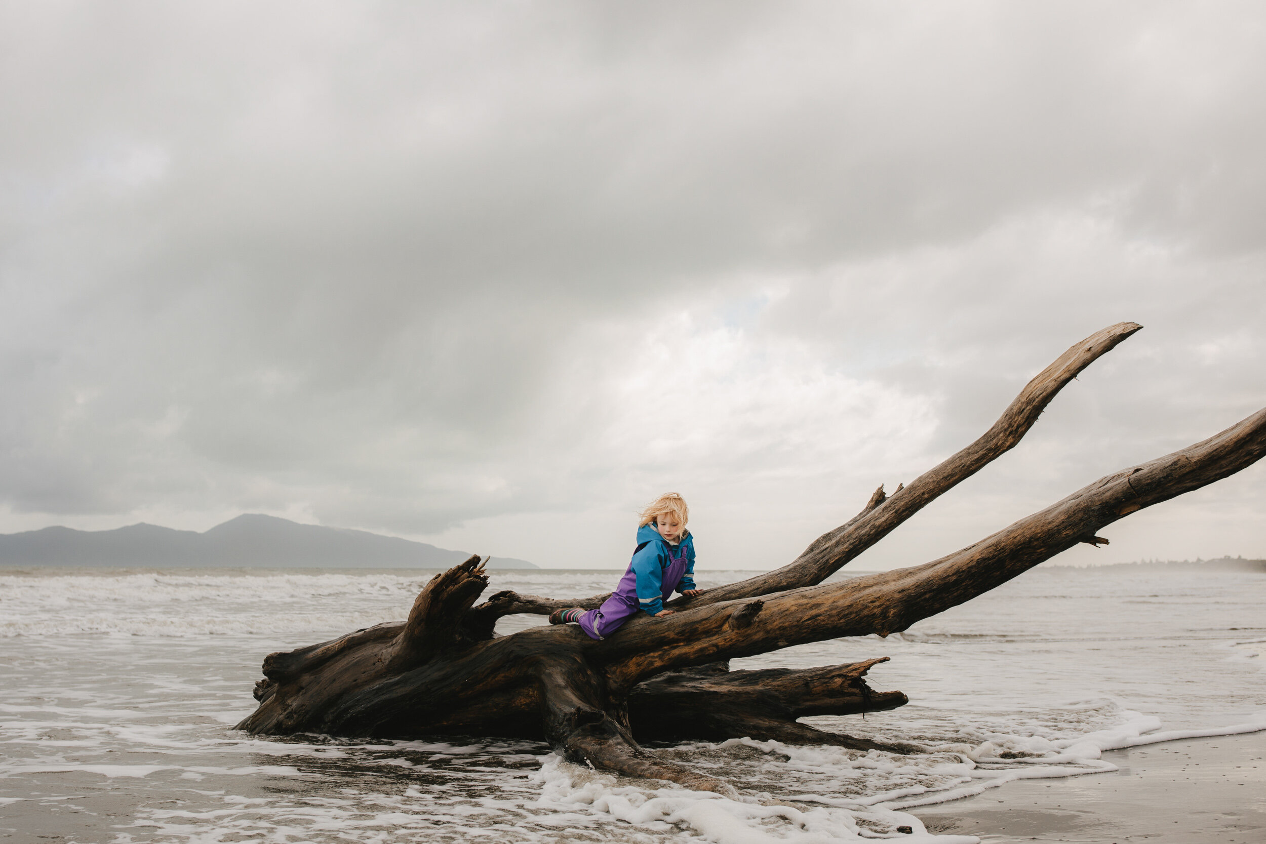 Family Photography Wellington