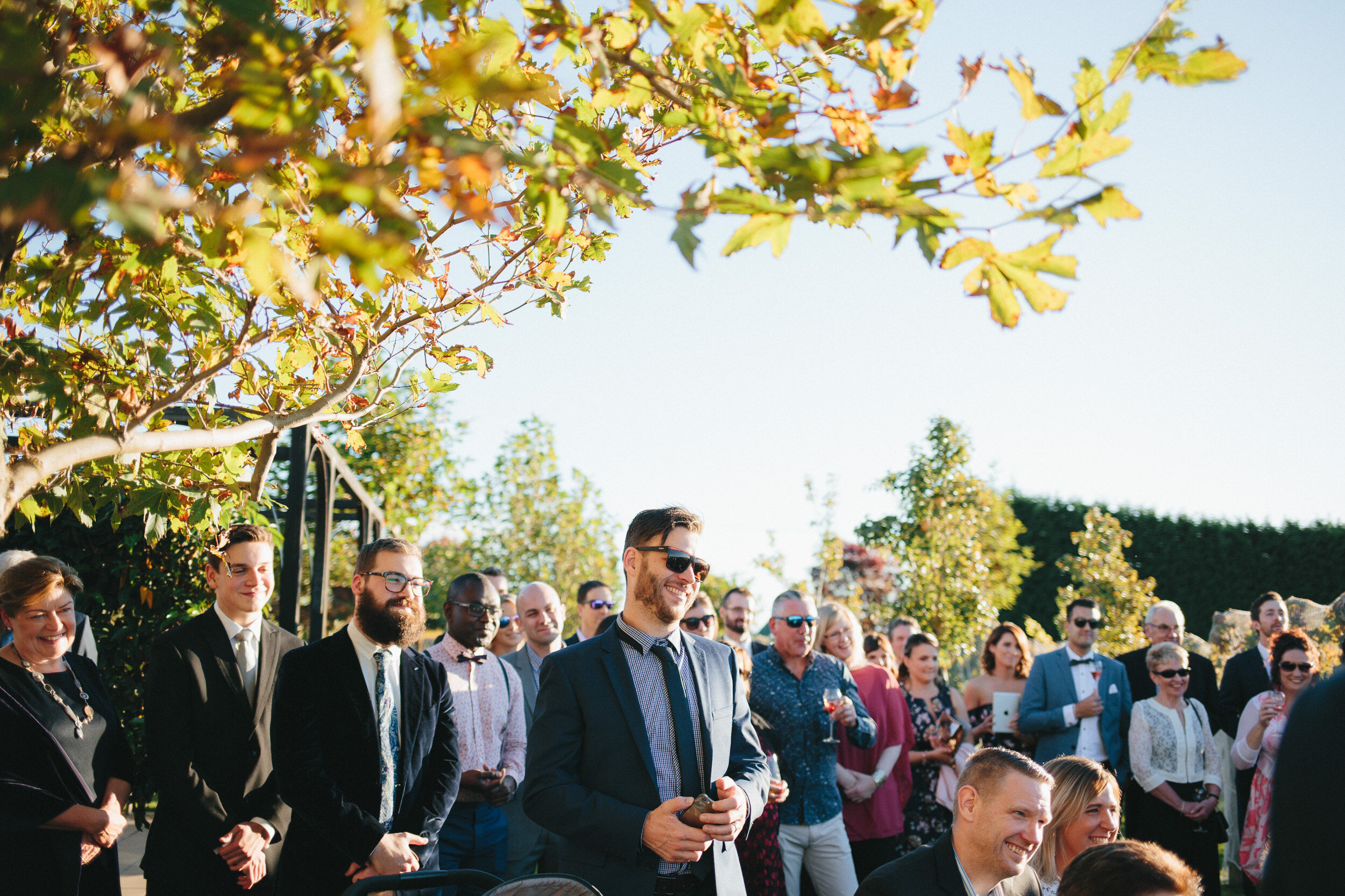 vineyard wedding ceremony