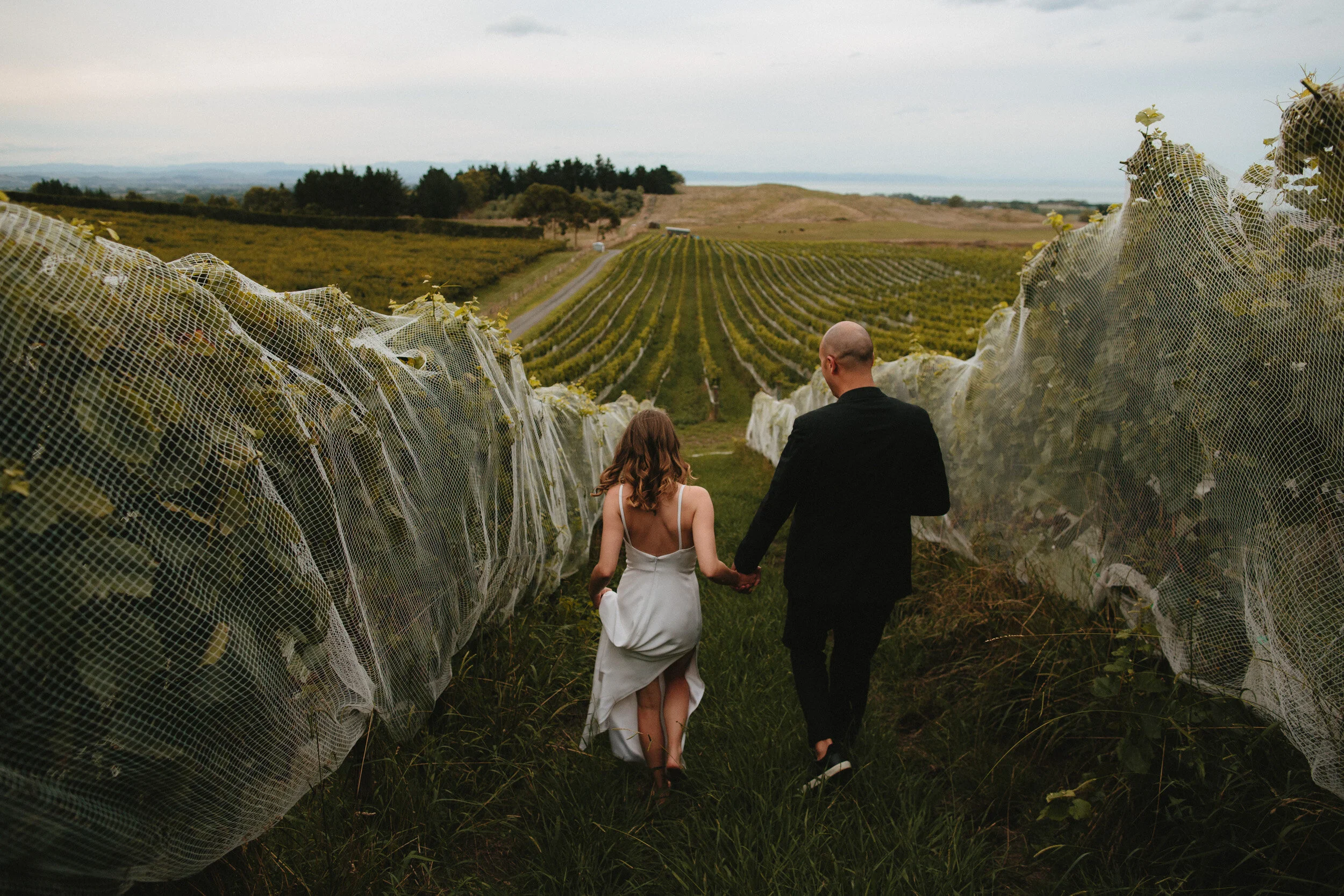 hawkes bay vineyard ceremony venue