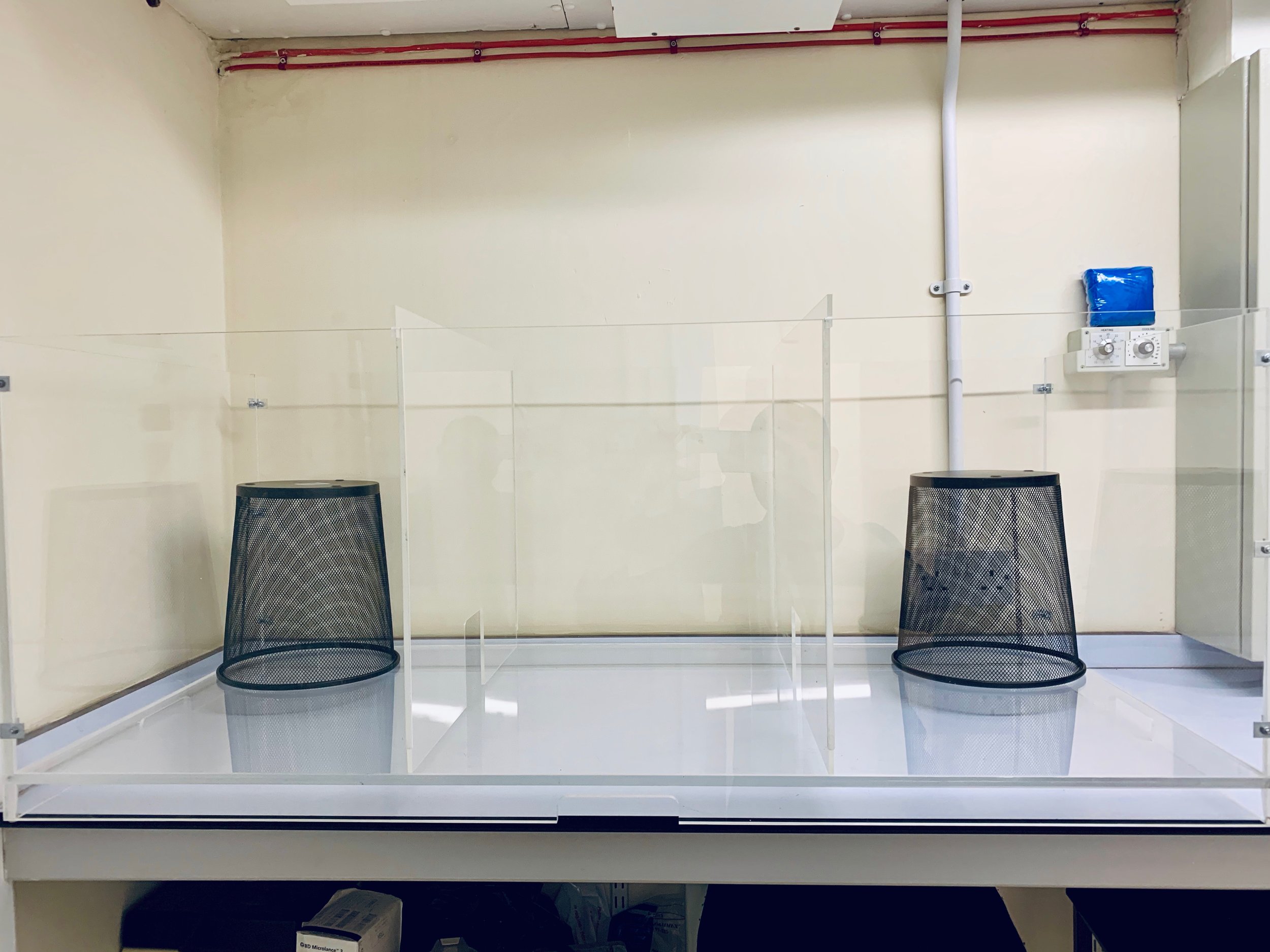The Social Recognition Memory Test Chamber in PlasticityLab