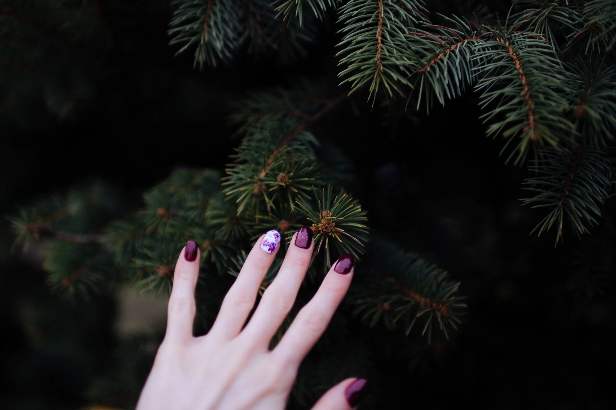 hand-unsplash.jpg