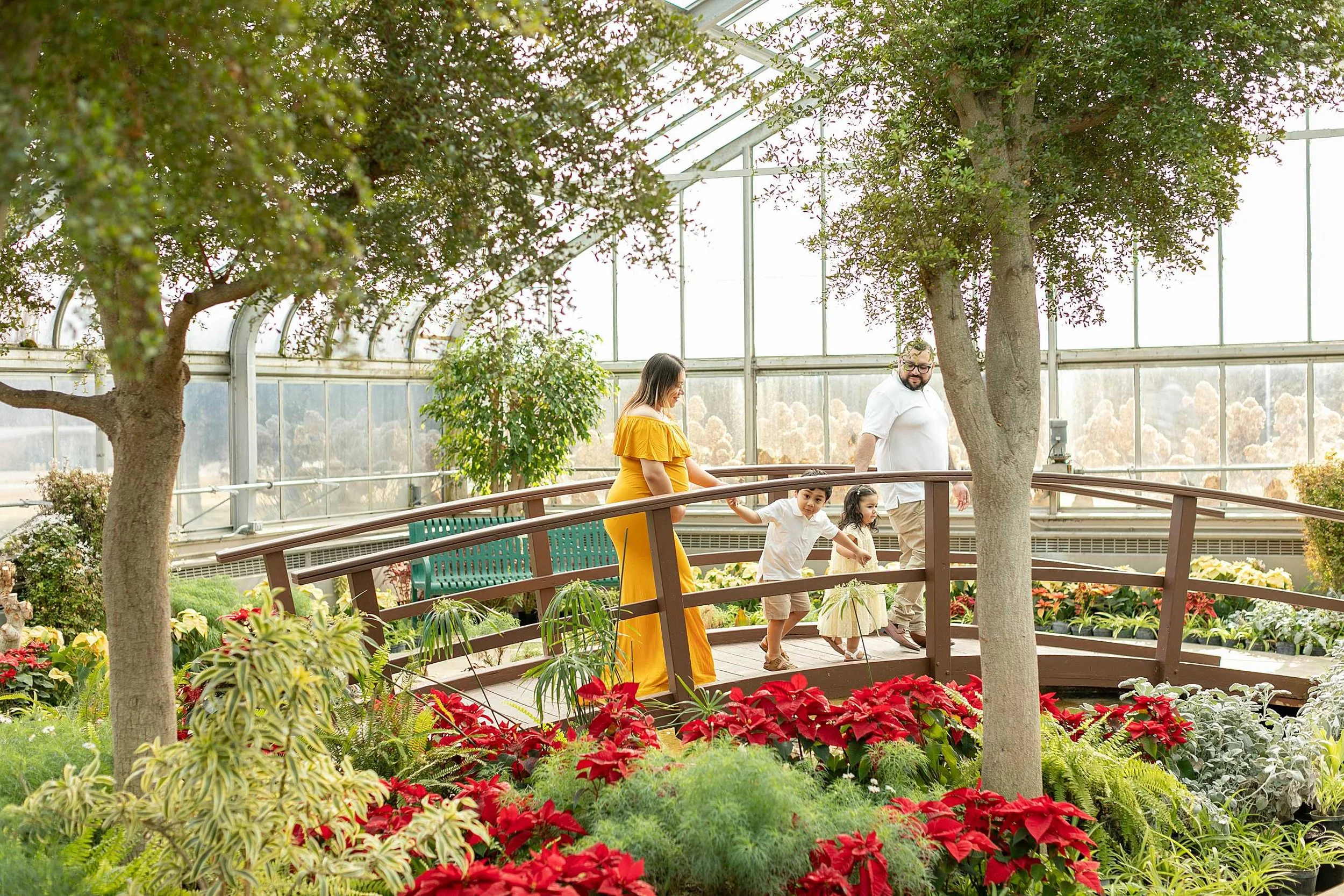 Winter bird haven greenhouse maternity family session yellow maternity dress joliet illinois
