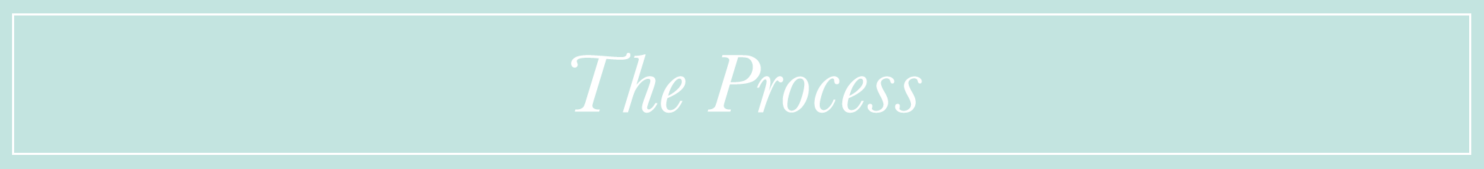 TheProcessBanner.png