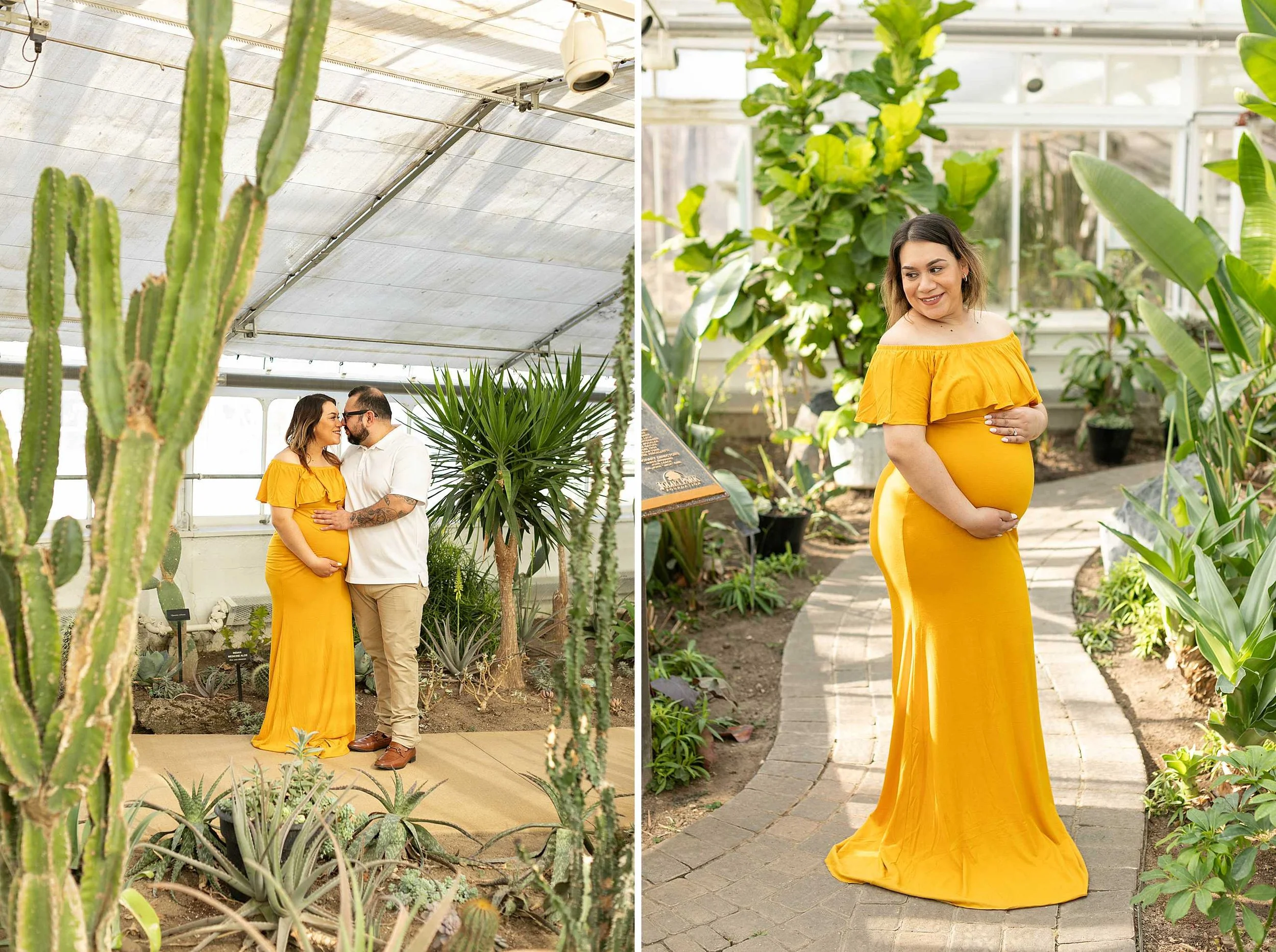 Winter Bird Haven Greenhouse Maternity Session at Pilcher Park in Joliet, Illinois | Acosta Family