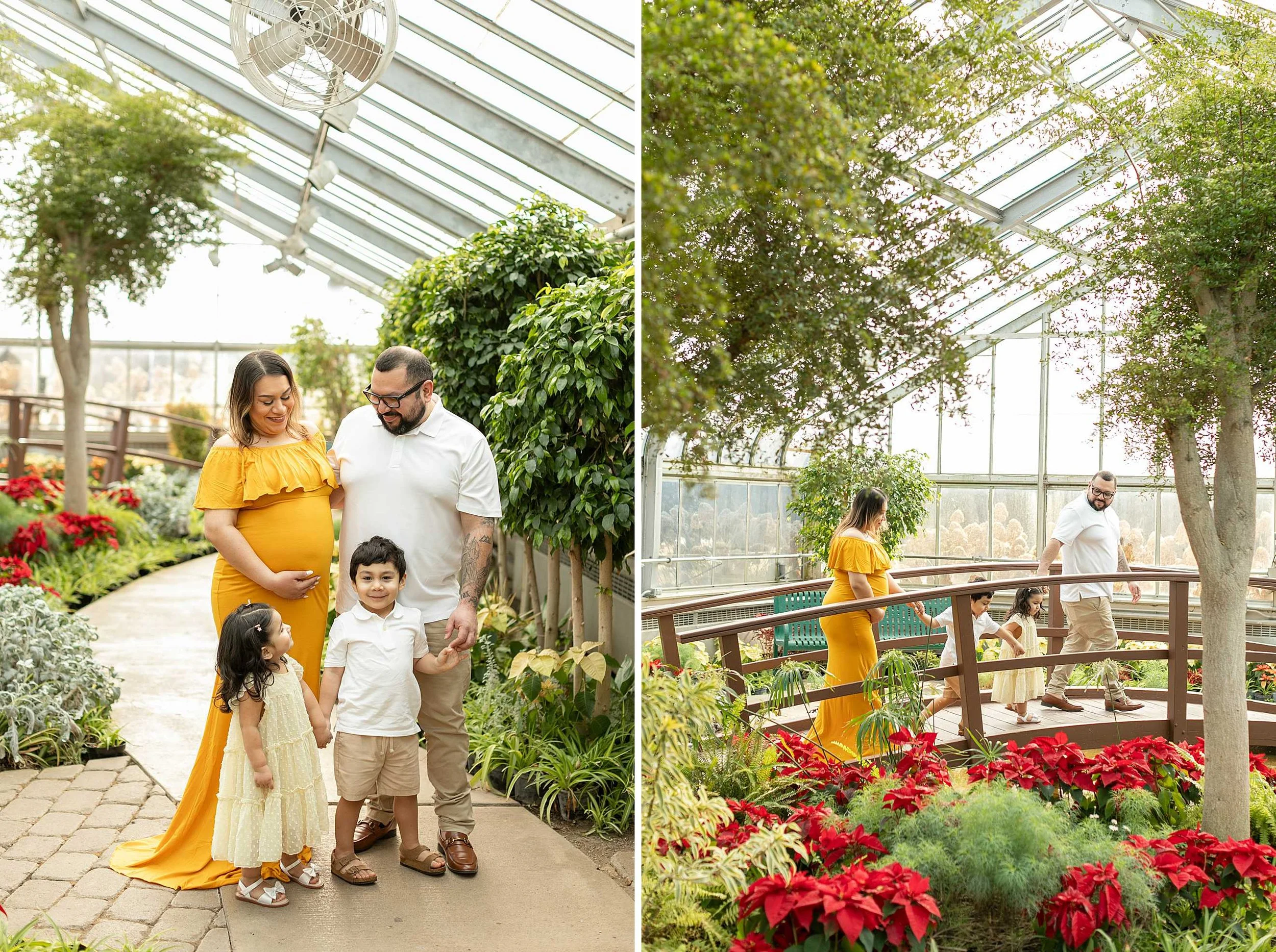 Winter bird haven greenhouse maternity family session yellow maternity dress joliet illinois