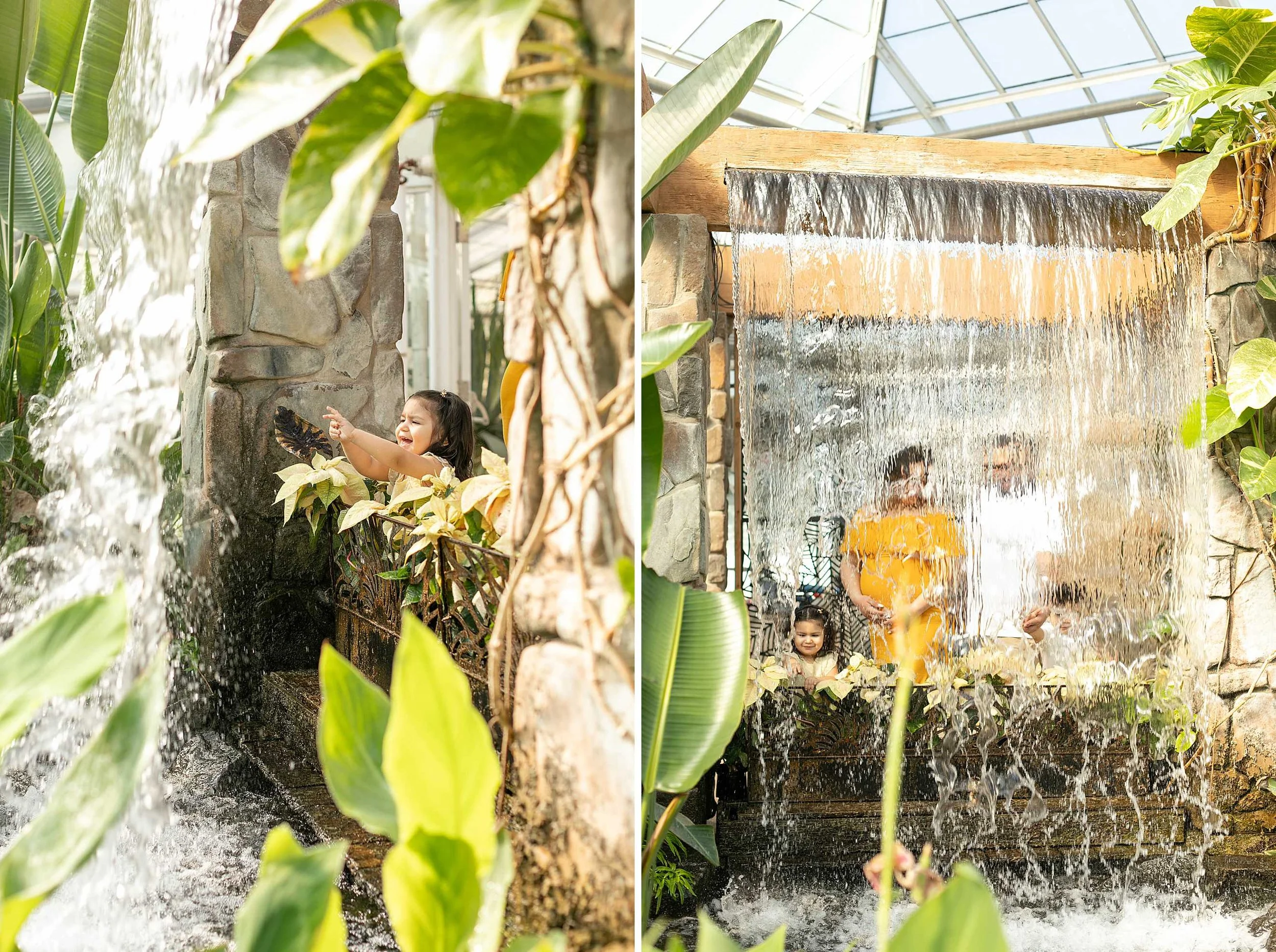 Winter bird haven greenhouse maternity family session yellow maternity dress joliet illinois