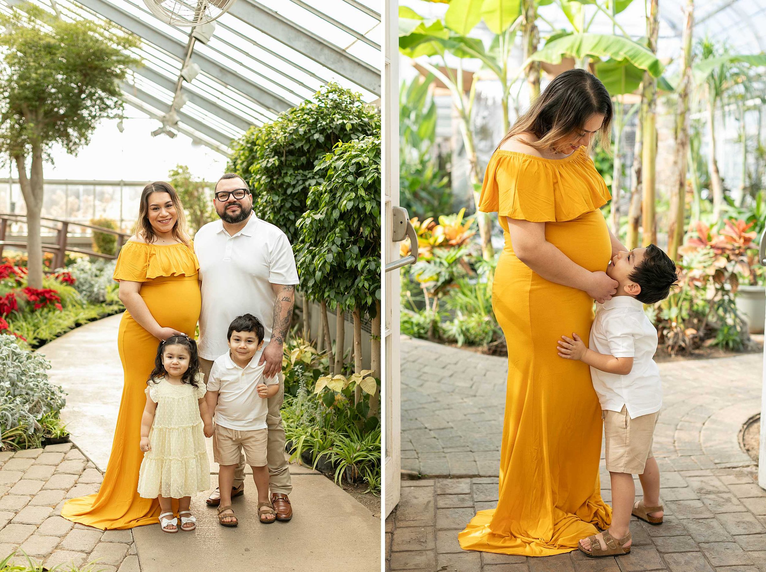 Winter bird haven greenhouse maternity family session yellow maternity dress joliet illinois
