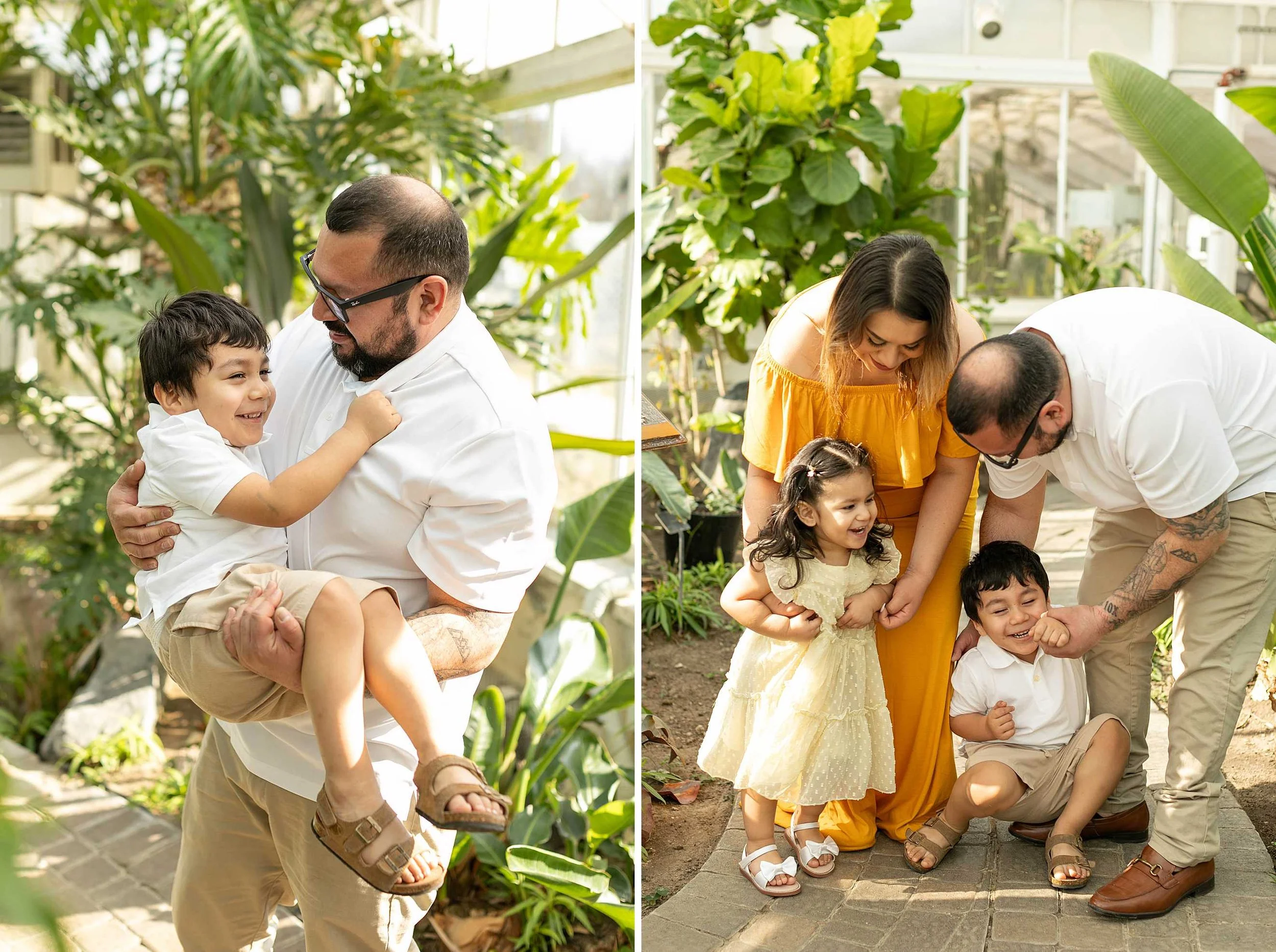 Winter bird haven greenhouse maternity family session yellow maternity dress joliet illinois