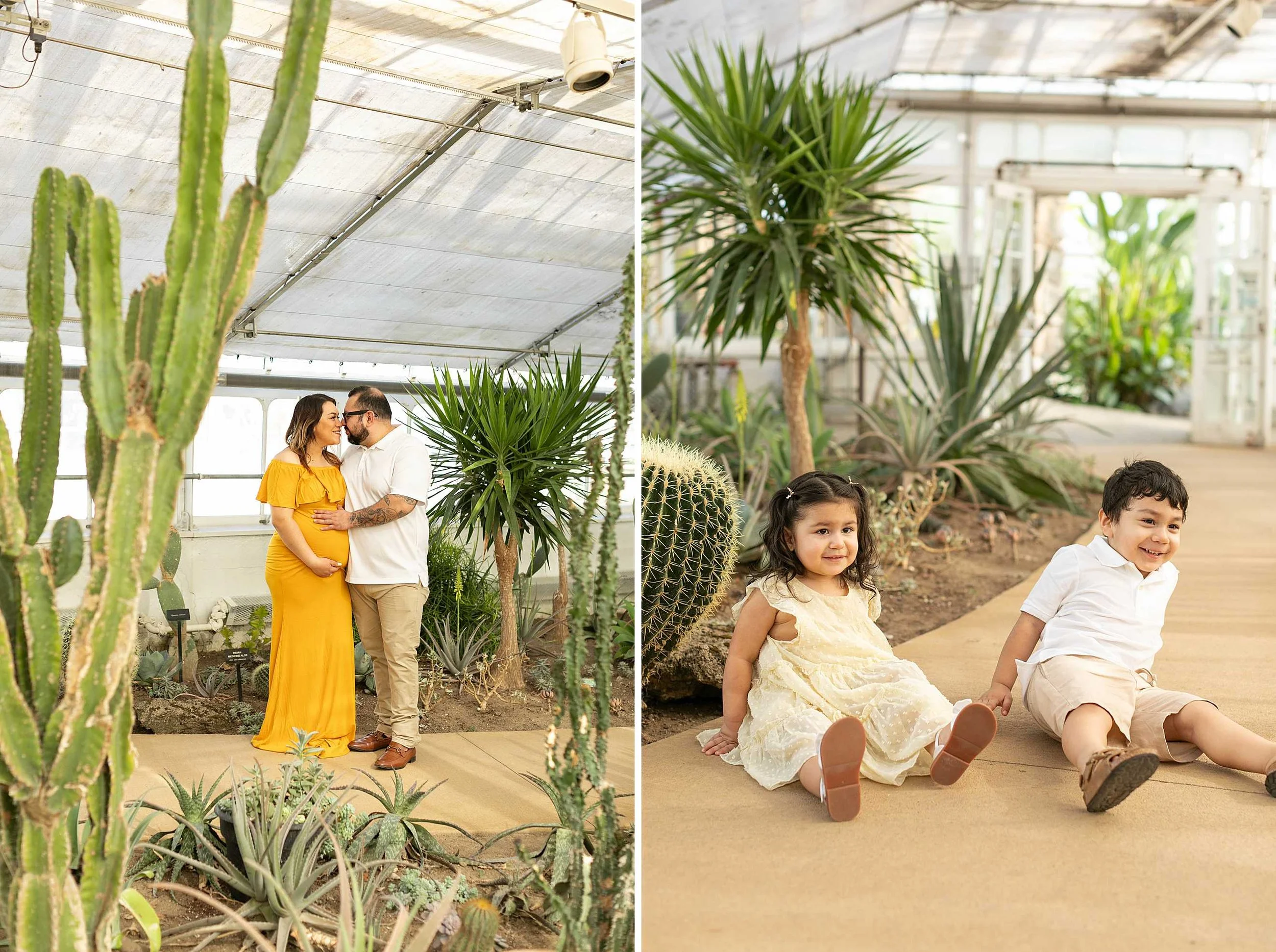 Winter bird haven greenhouse maternity family session yellow maternity dress joliet illinois