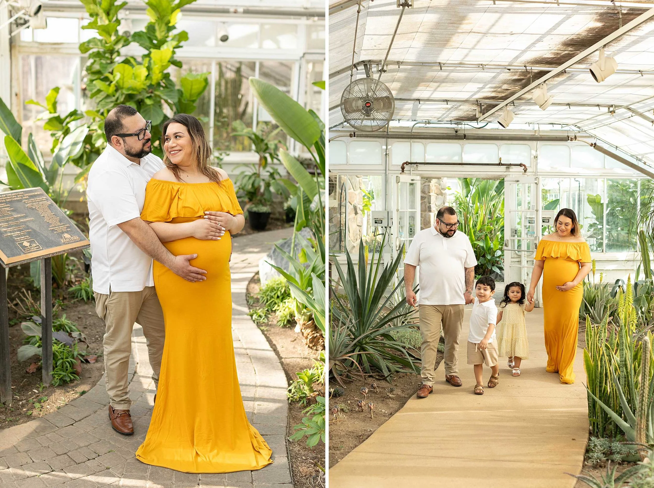 Winter bird haven greenhouse maternity family session yellow maternity dress joliet illinois