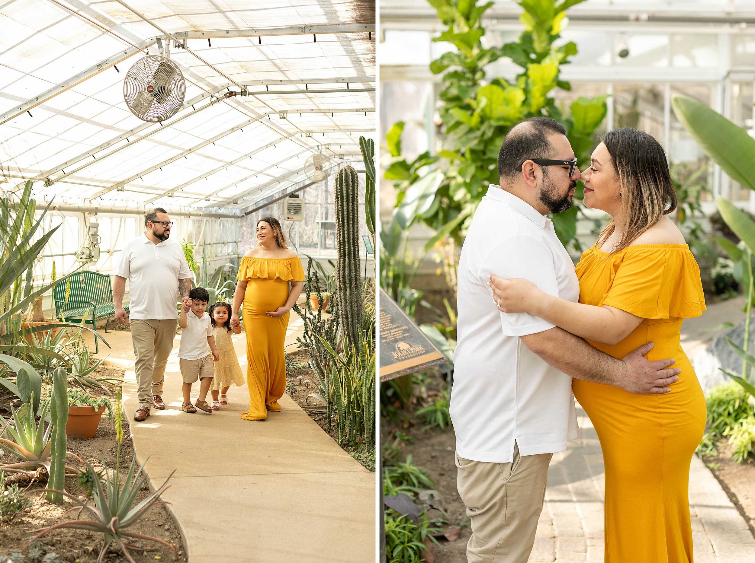 Winter bird haven greenhouse maternity family session yellow maternity dress joliet illinois