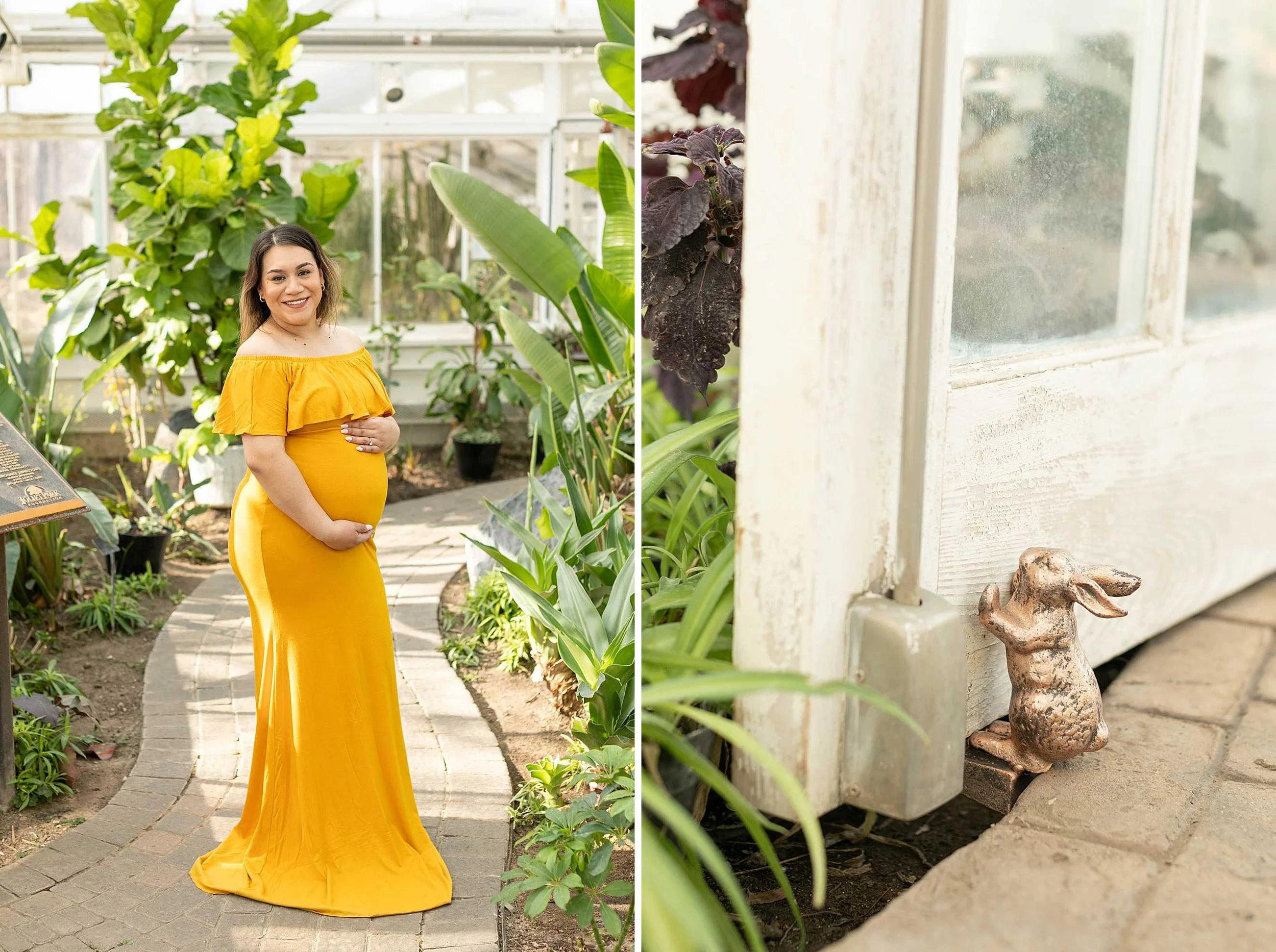 Winter bird haven greenhouse maternity family session yellow maternity dress joliet illinois