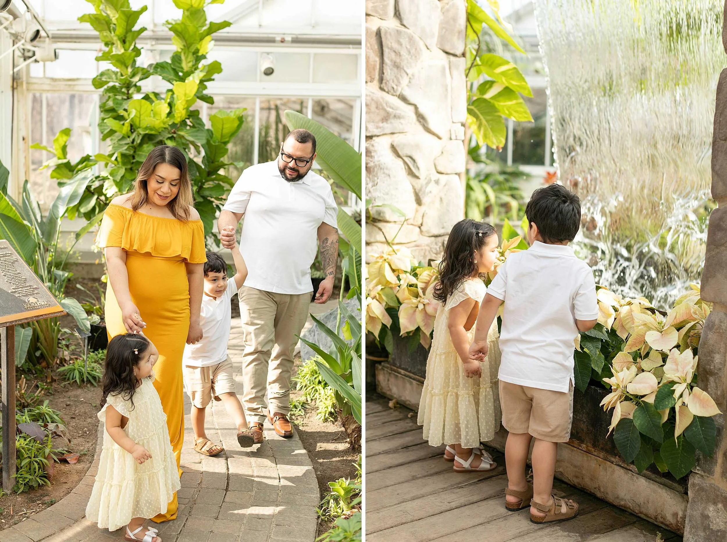 Winter bird haven greenhouse maternity family session yellow maternity dress joliet illinois