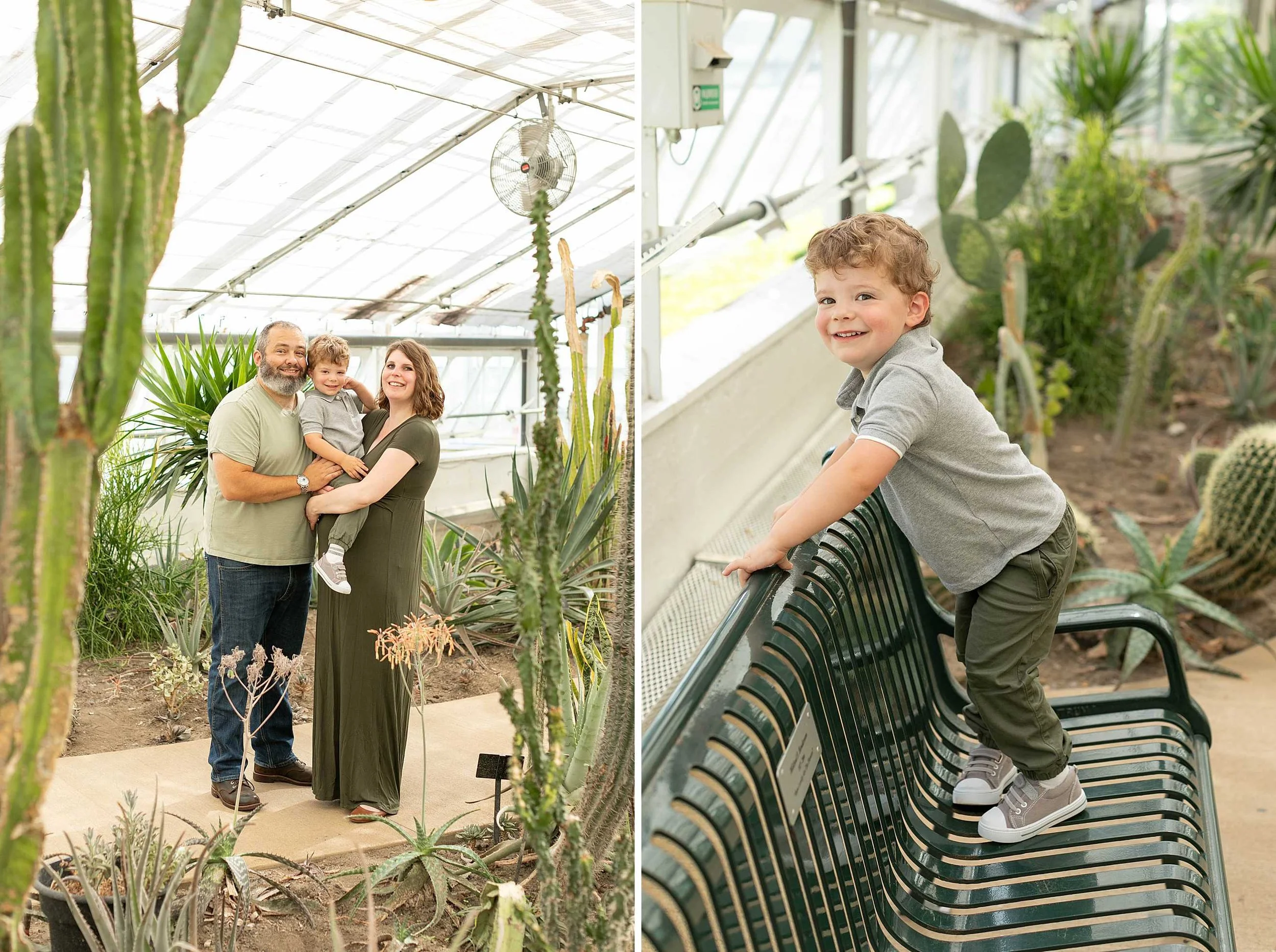 Bird haven greenhouse maternity family photos at pilcher park in joliet illinois