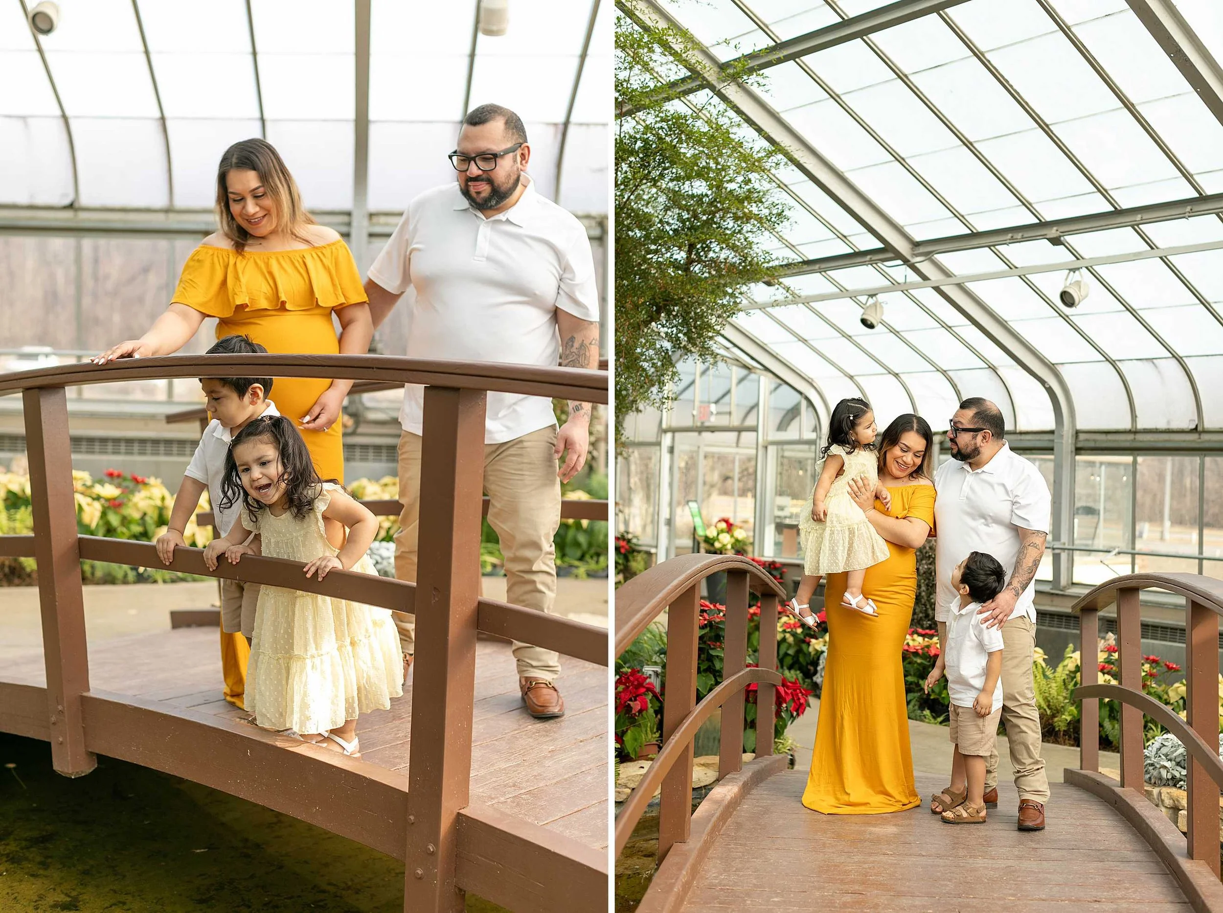 Winter bird haven greenhouse maternity family session yellow maternity dress joliet illinois