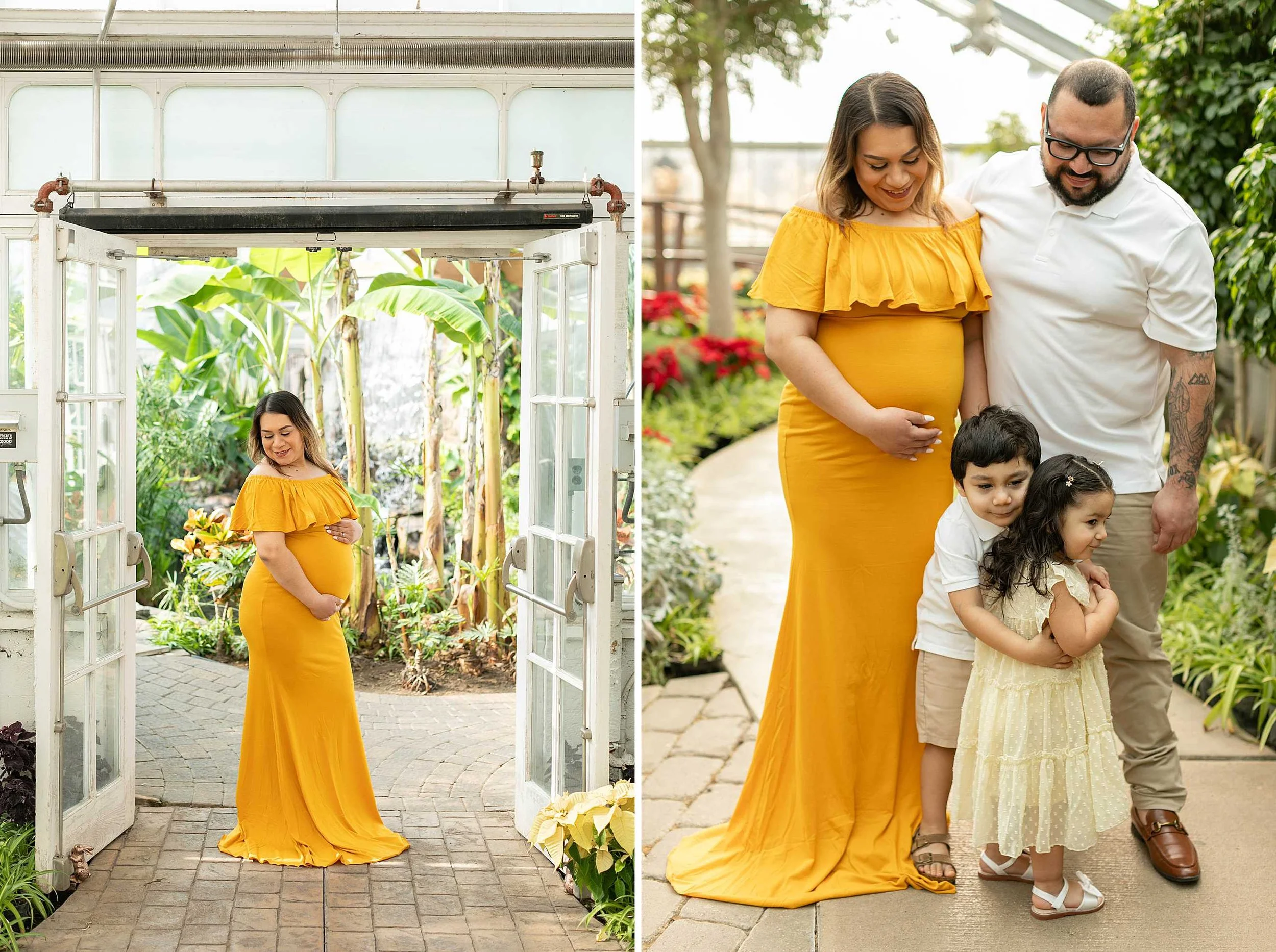 Winter bird haven greenhouse maternity family session yellow maternity dress joliet illinois