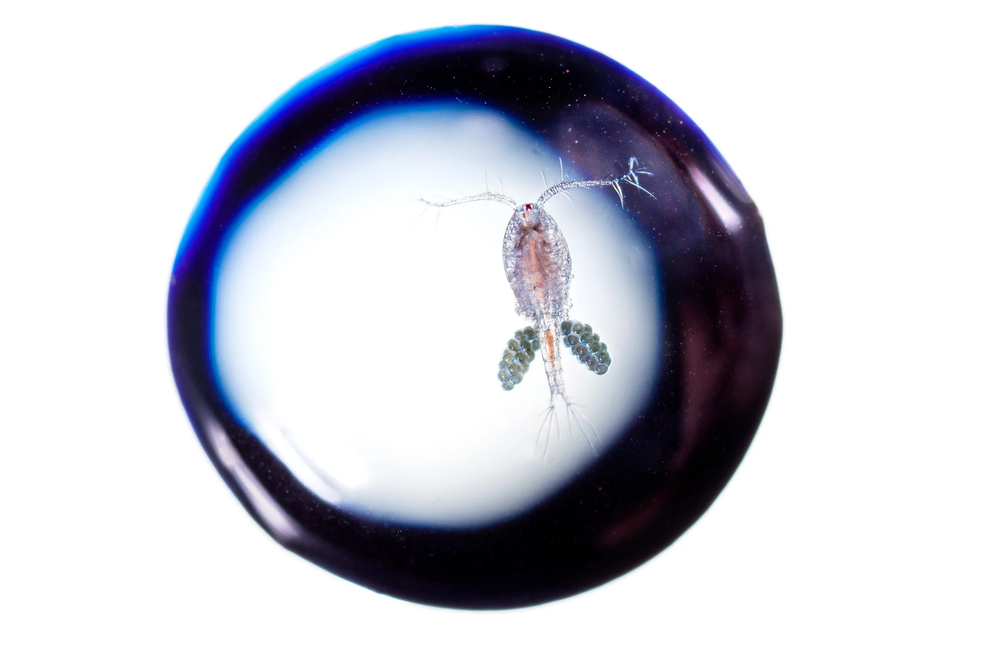 180522_00919-Edit.jpg