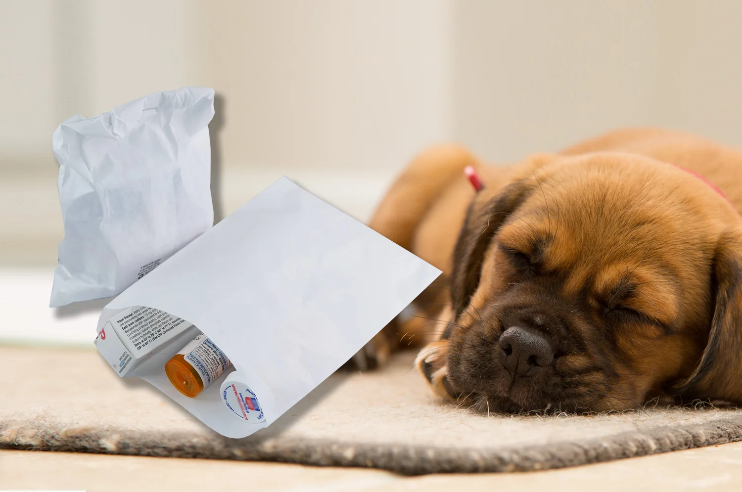 PRODUCT-PHOTO---Veterinarian-v2-banner.jpg