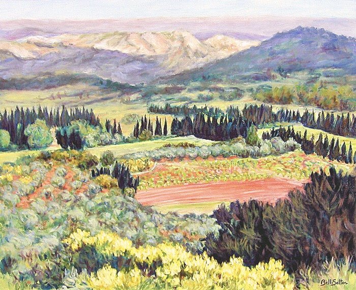 View from Les Baux