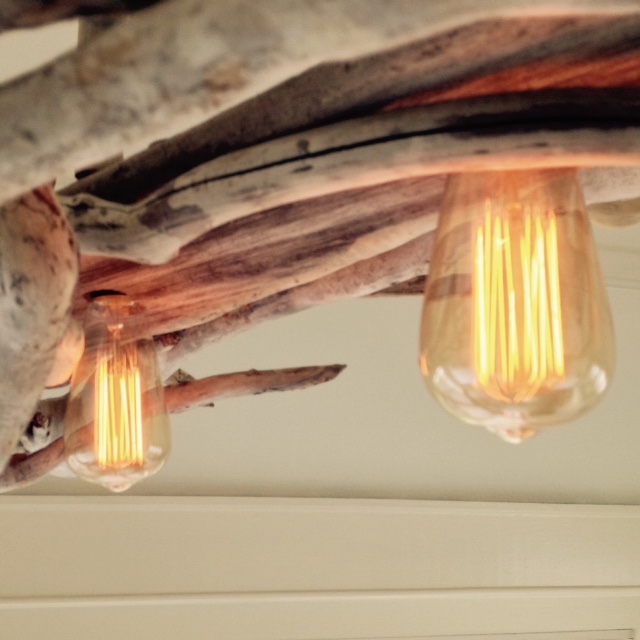 bulbs 2.jpg