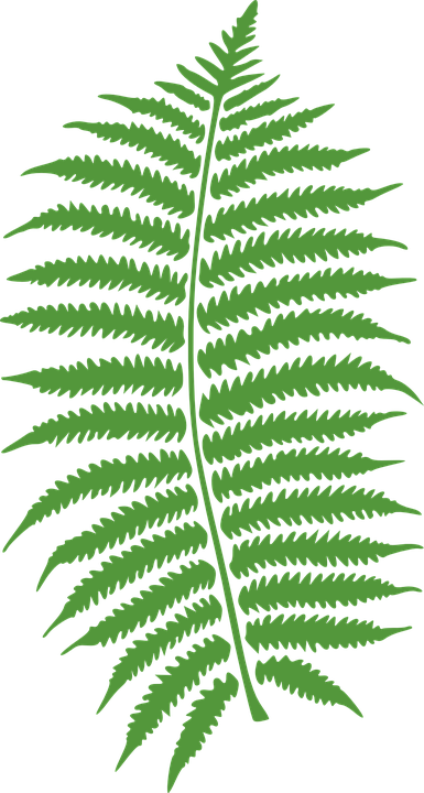 NEET Logo2.jpg