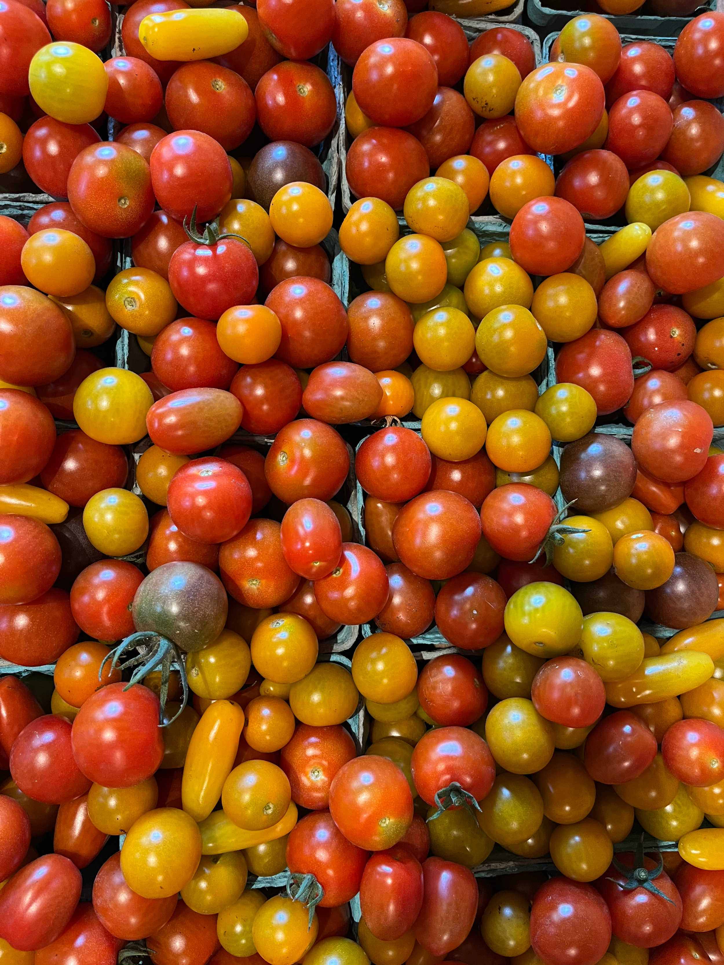 cherry toms.png