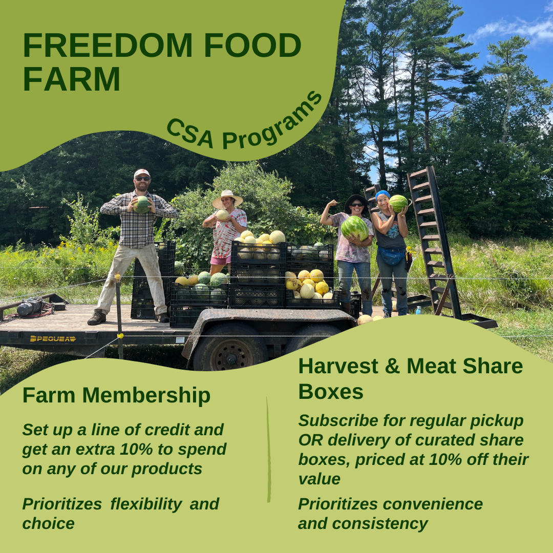Csa Program +CSA Progams — Freedom Food Farm