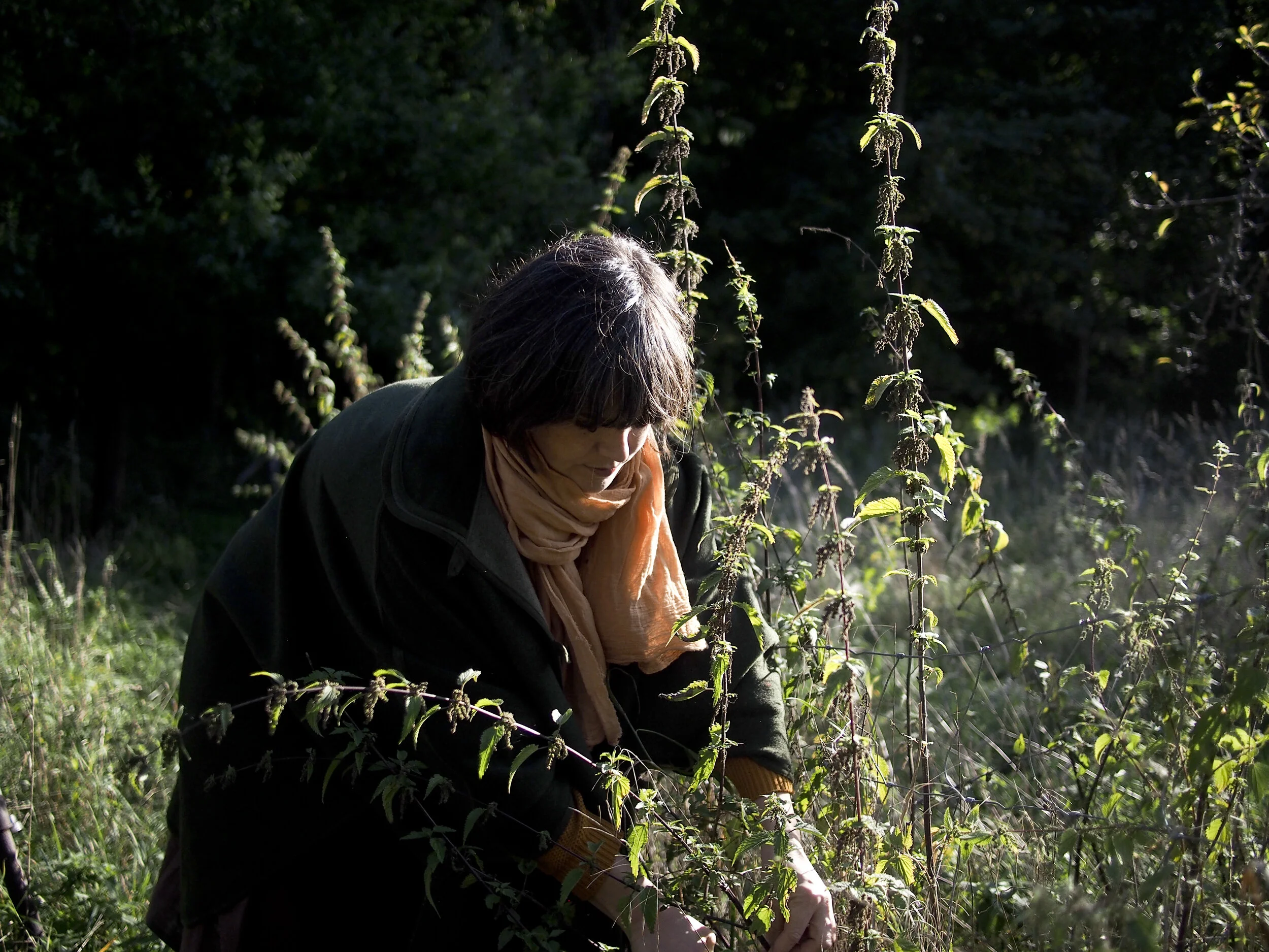 * Photos by Hirofumi Abe