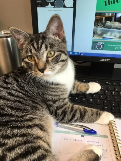 Very Important Service Announcement from Maverick